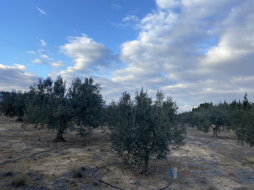 Venta de chalet en Villena