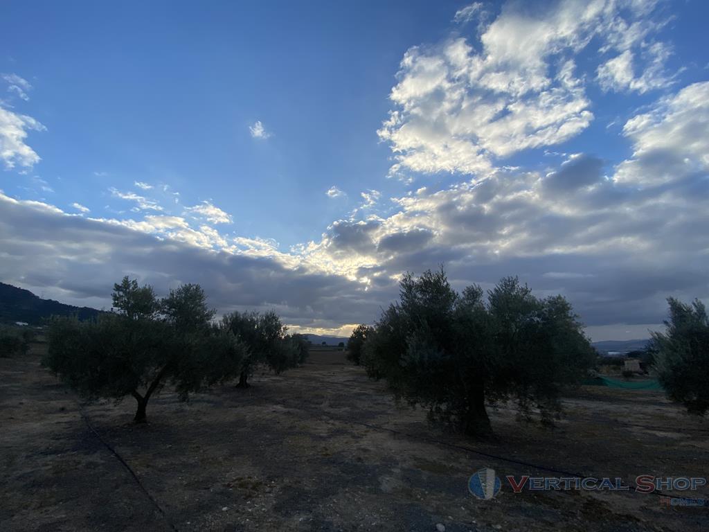 Venta de chalet en Villena
