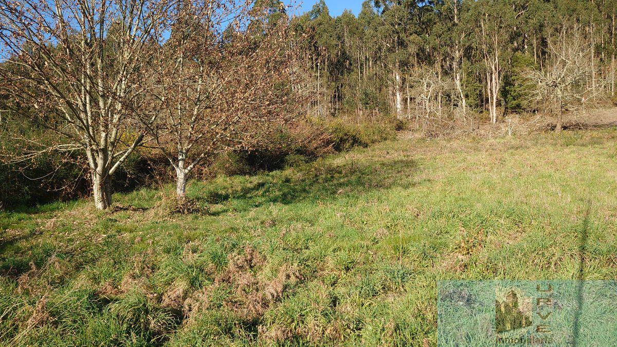 For sale of land in Santiago de Compostela