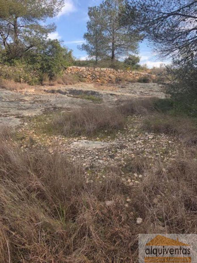 For sale of land in El Catllar