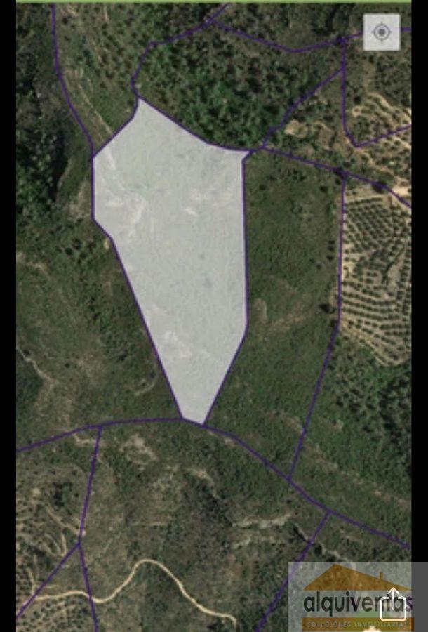 For sale of land in Deltebre