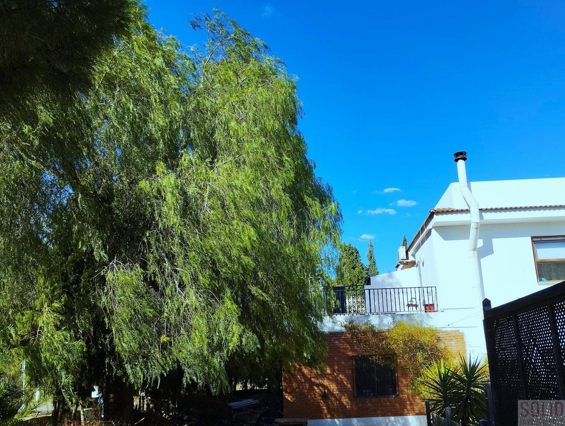 For sale of chalet in Rocafort
