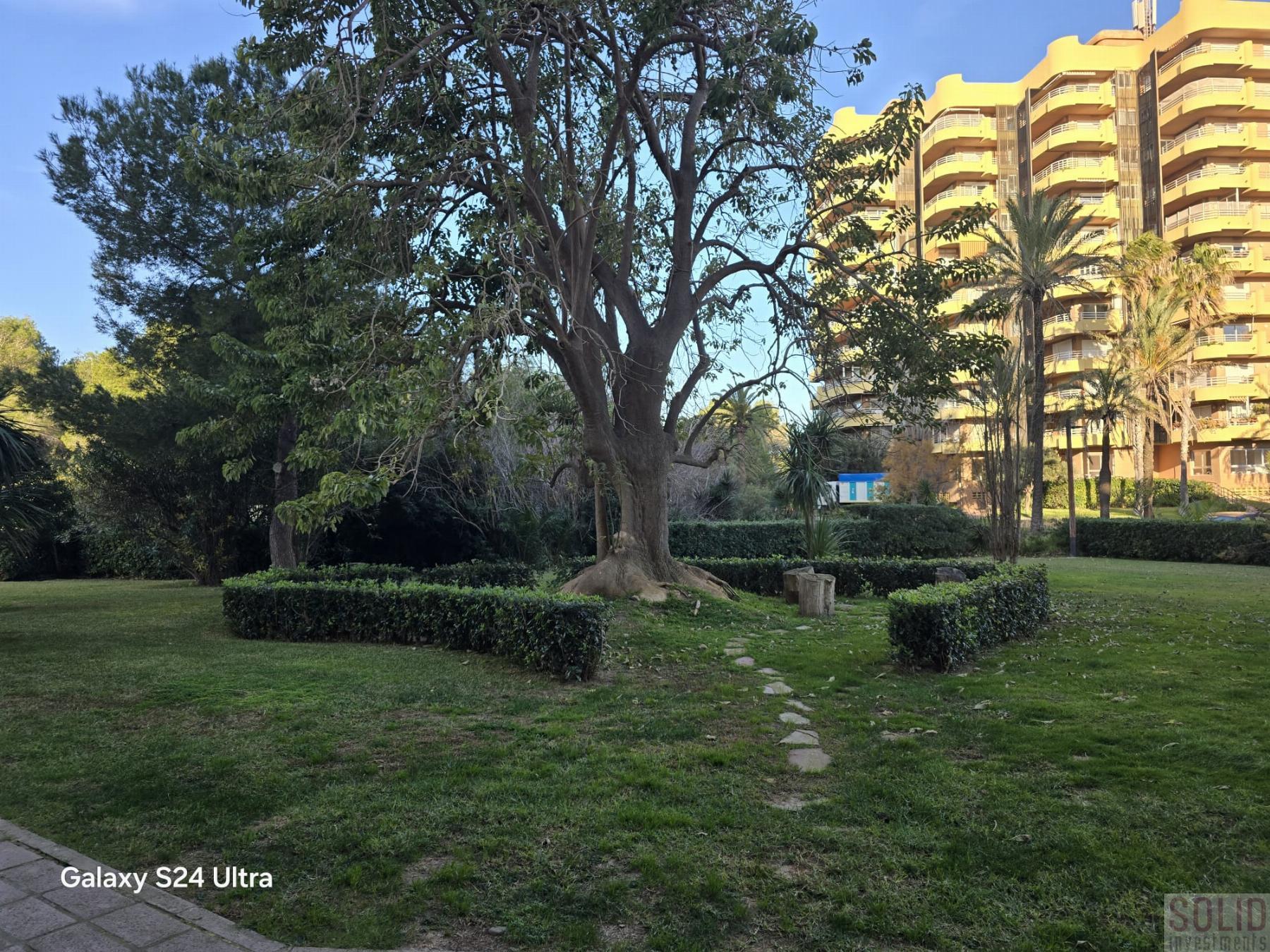 For rent of apartment in Valencia