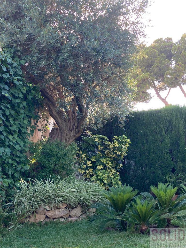 For sale of chalet in Rocafort