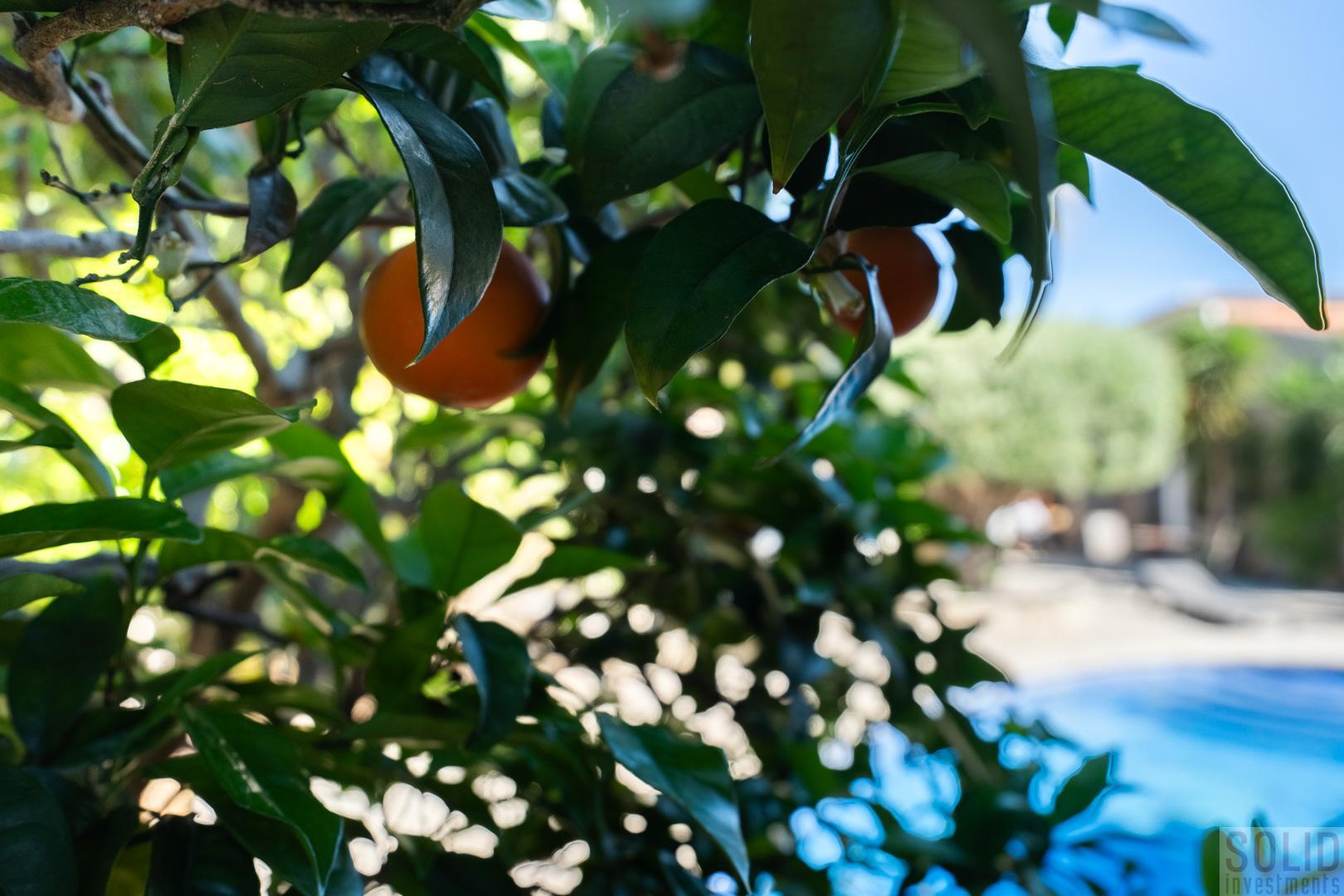 Venta de villa en Jávea-Xàbia