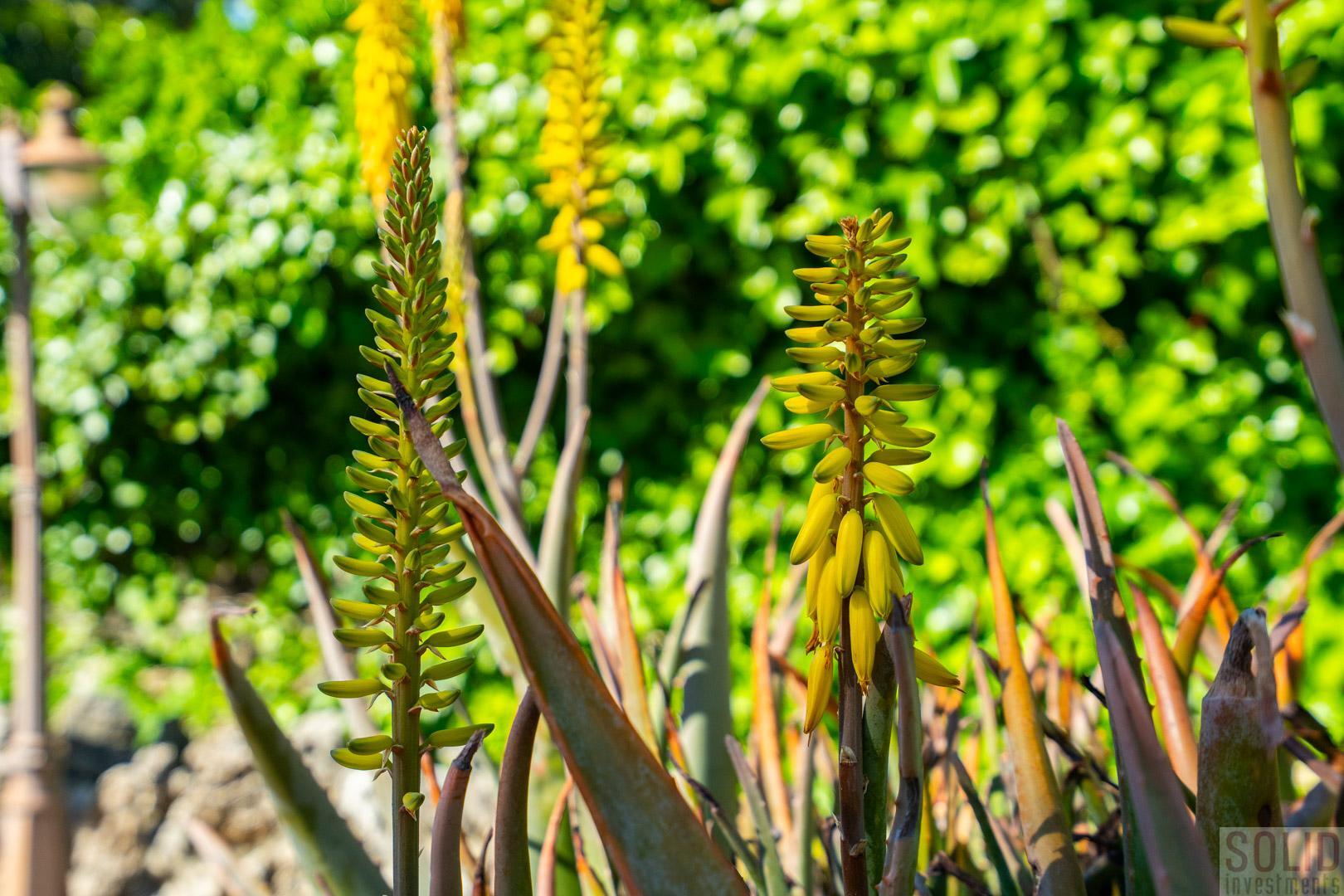 Venta de villa en Jávea-Xàbia