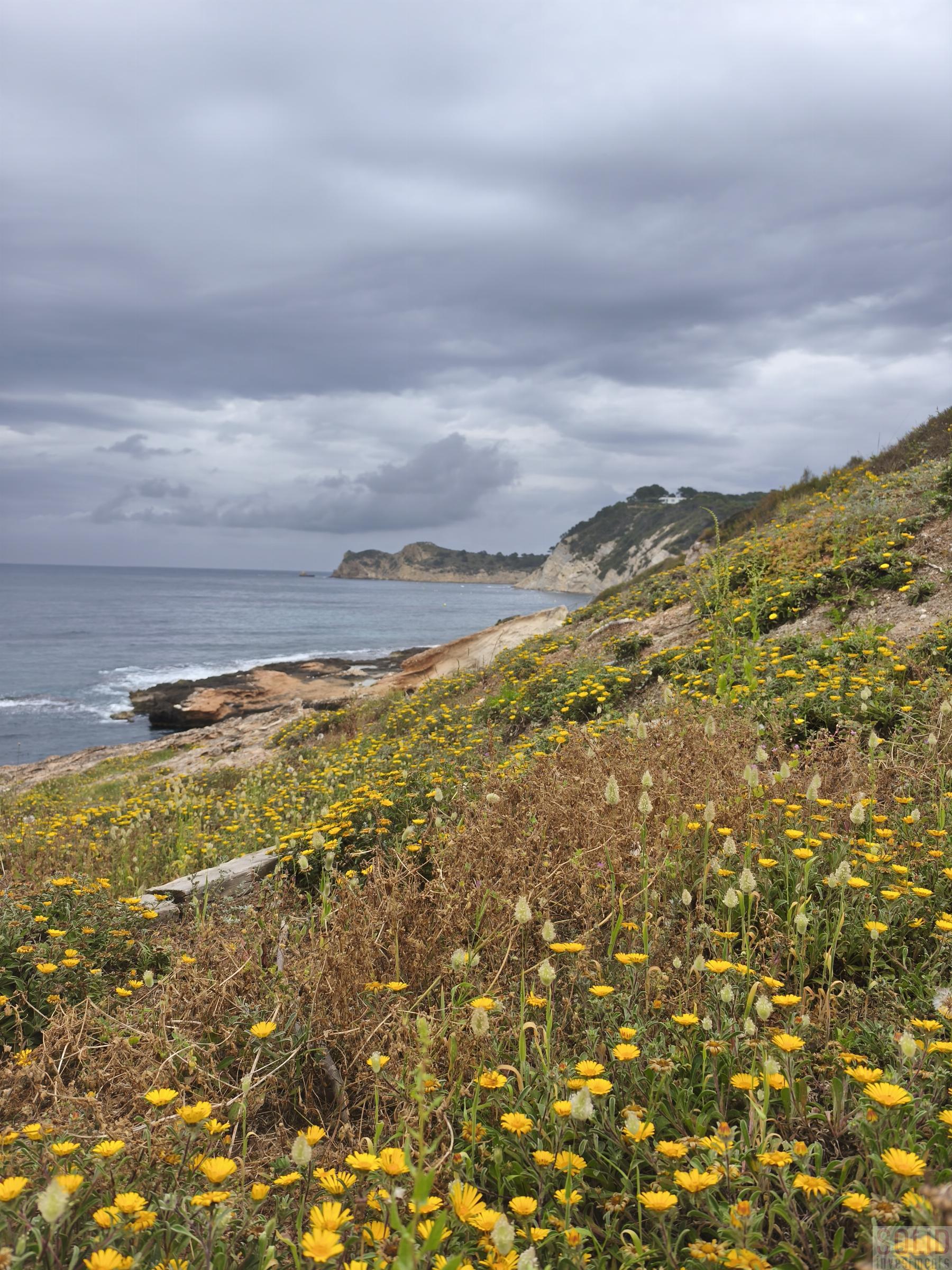 Alrededores