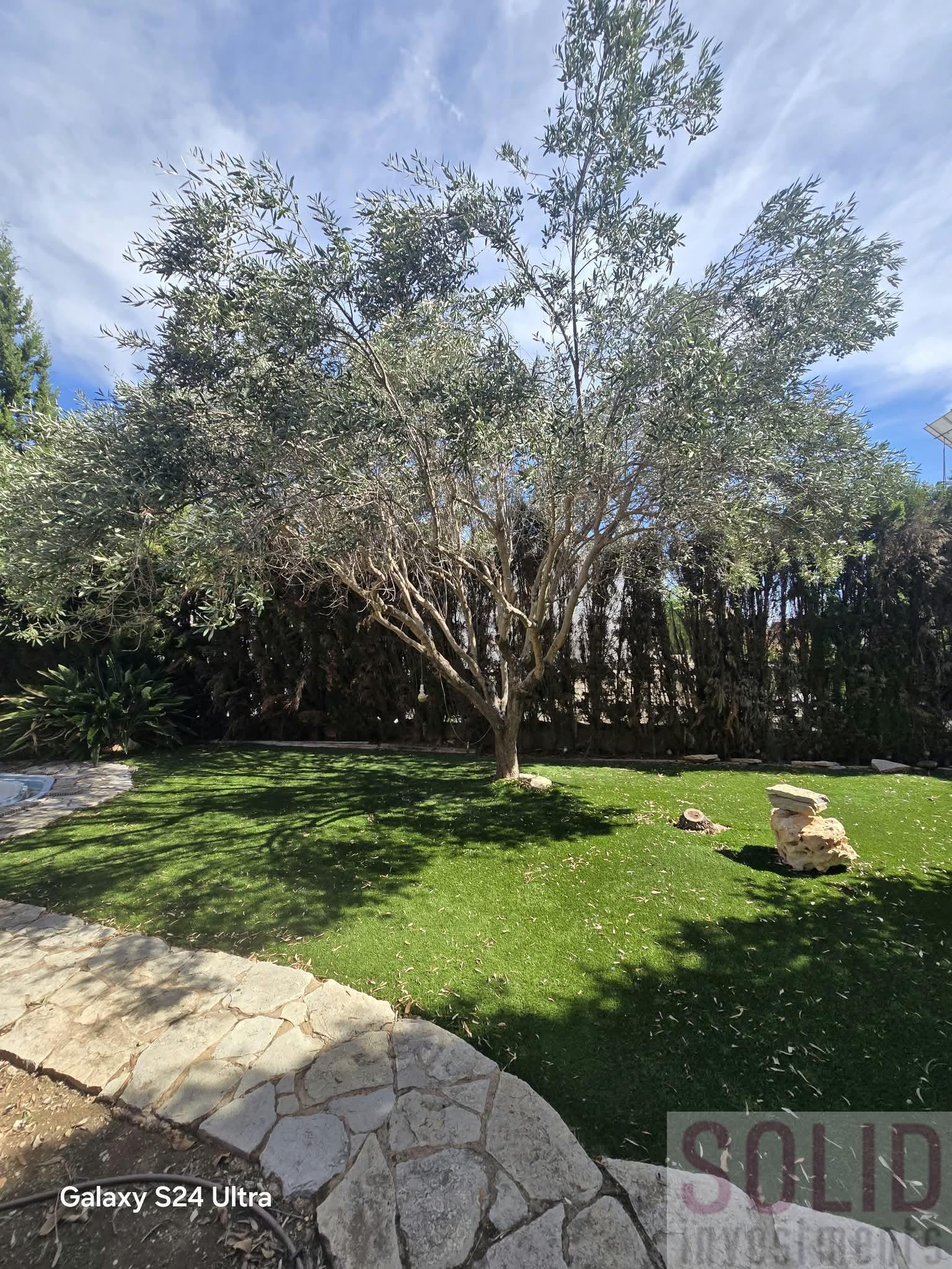 Jardín