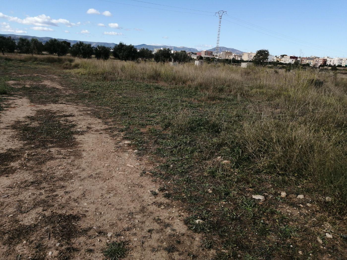 Finca en venta en Almela, Cheste