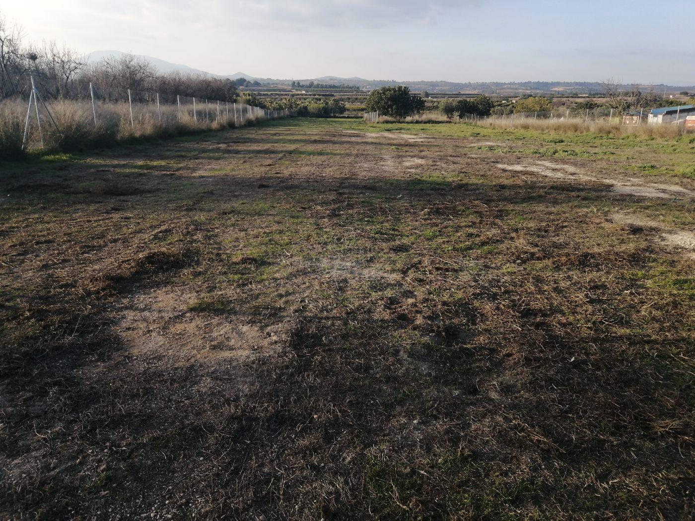 For rent of land in Cheste