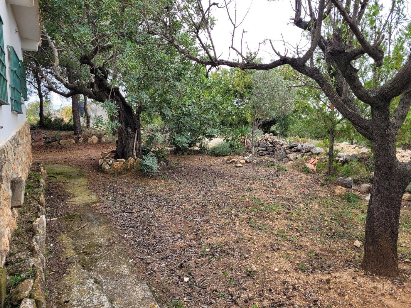 Venta de chalet en Cheste