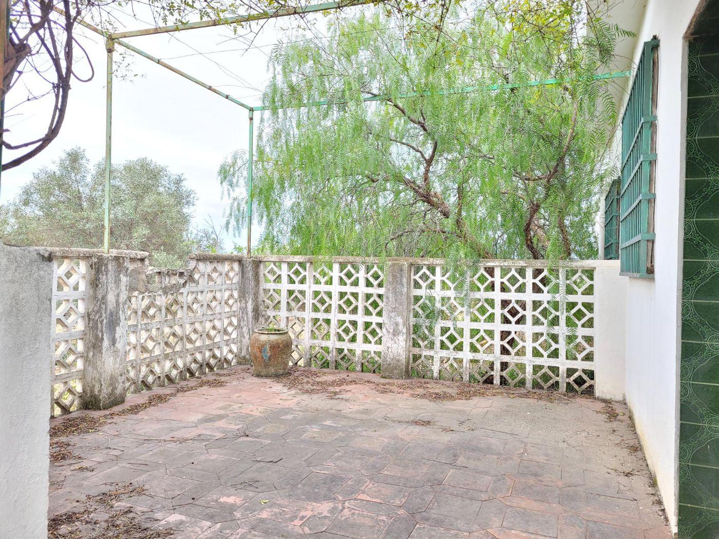 Venta de chalet en Cheste