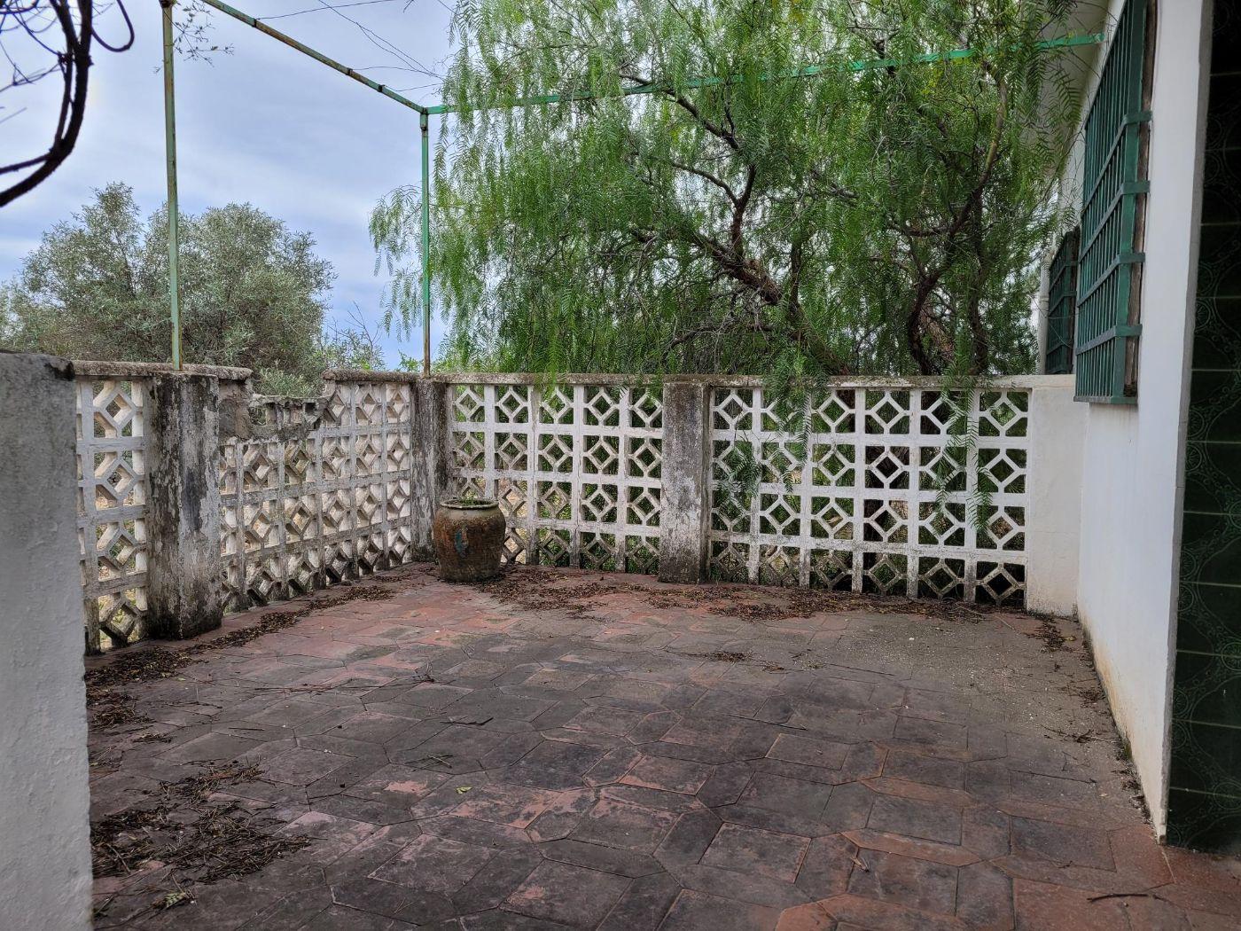 Venta de chalet en Cheste