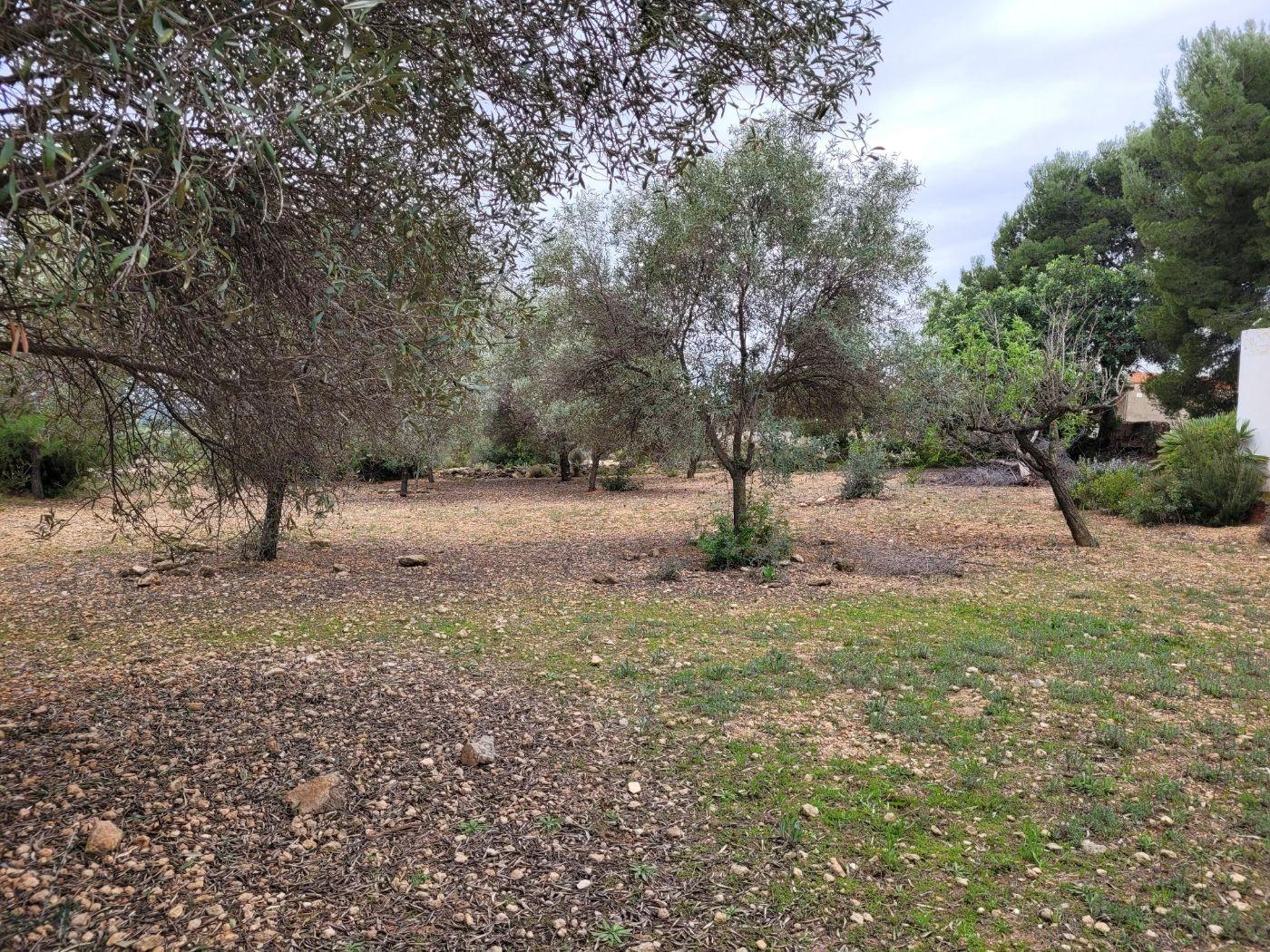 Venta de chalet en Cheste