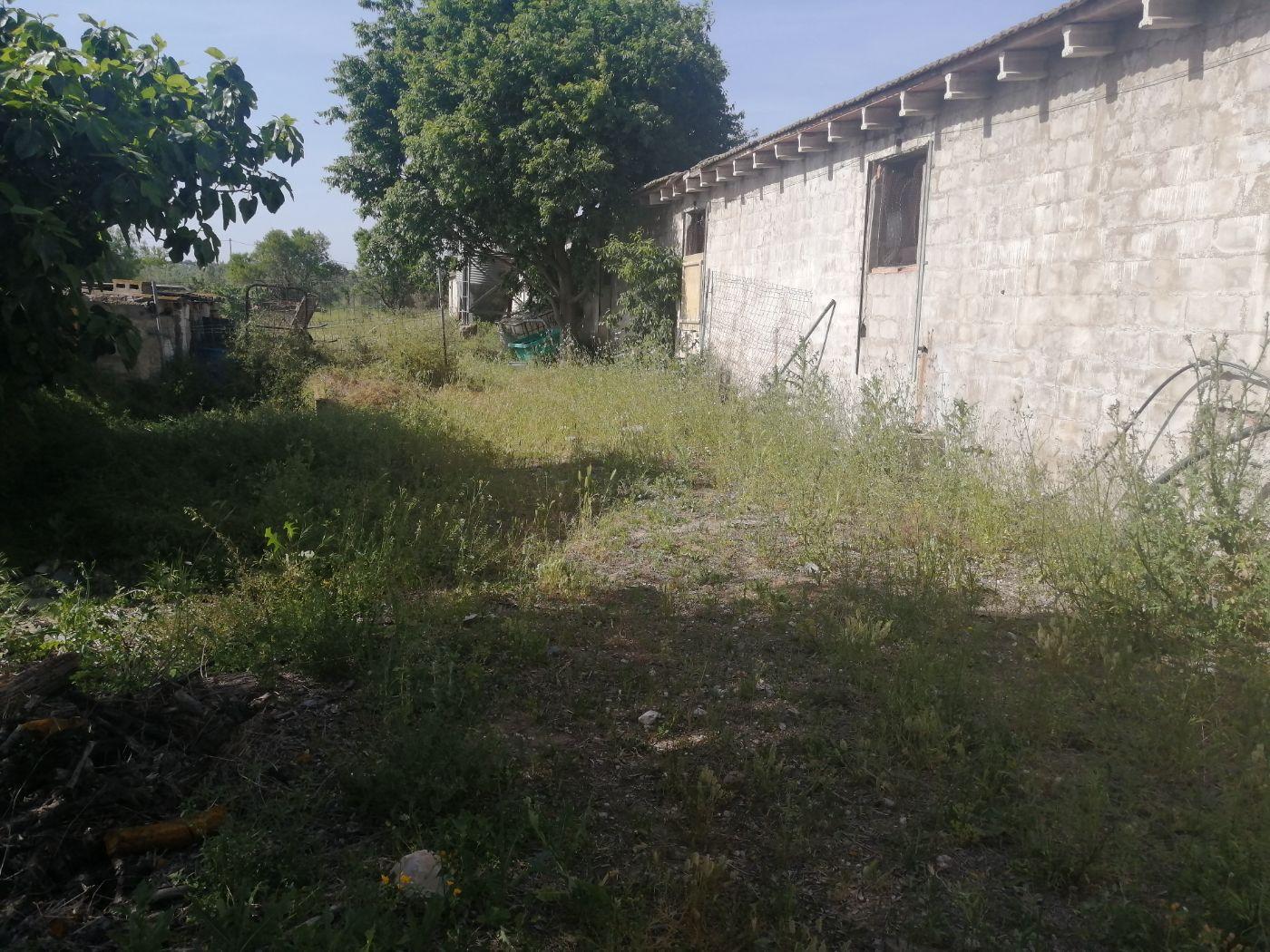 For sale of rural property in Cheste