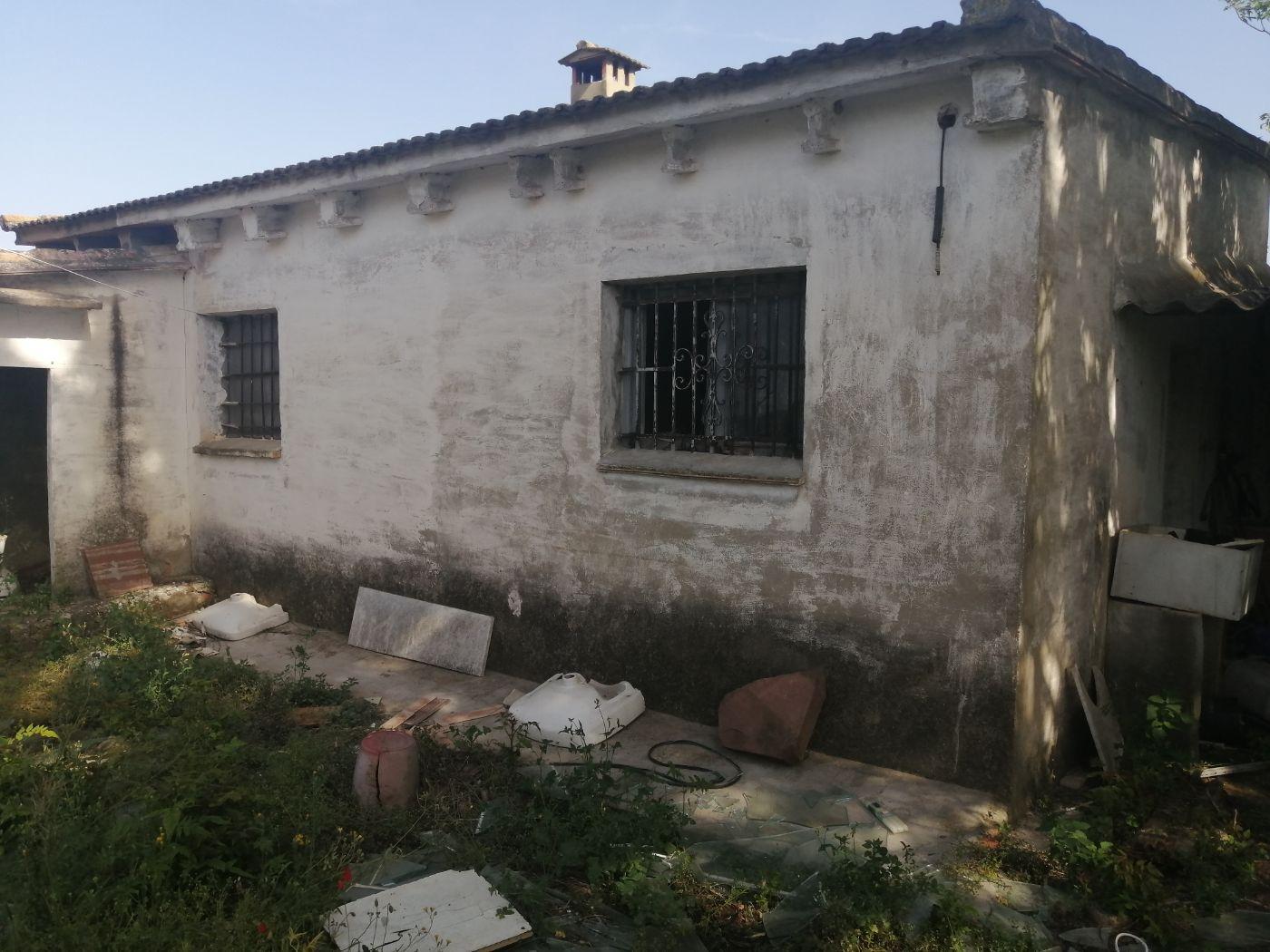 For sale of rural property in Cheste
