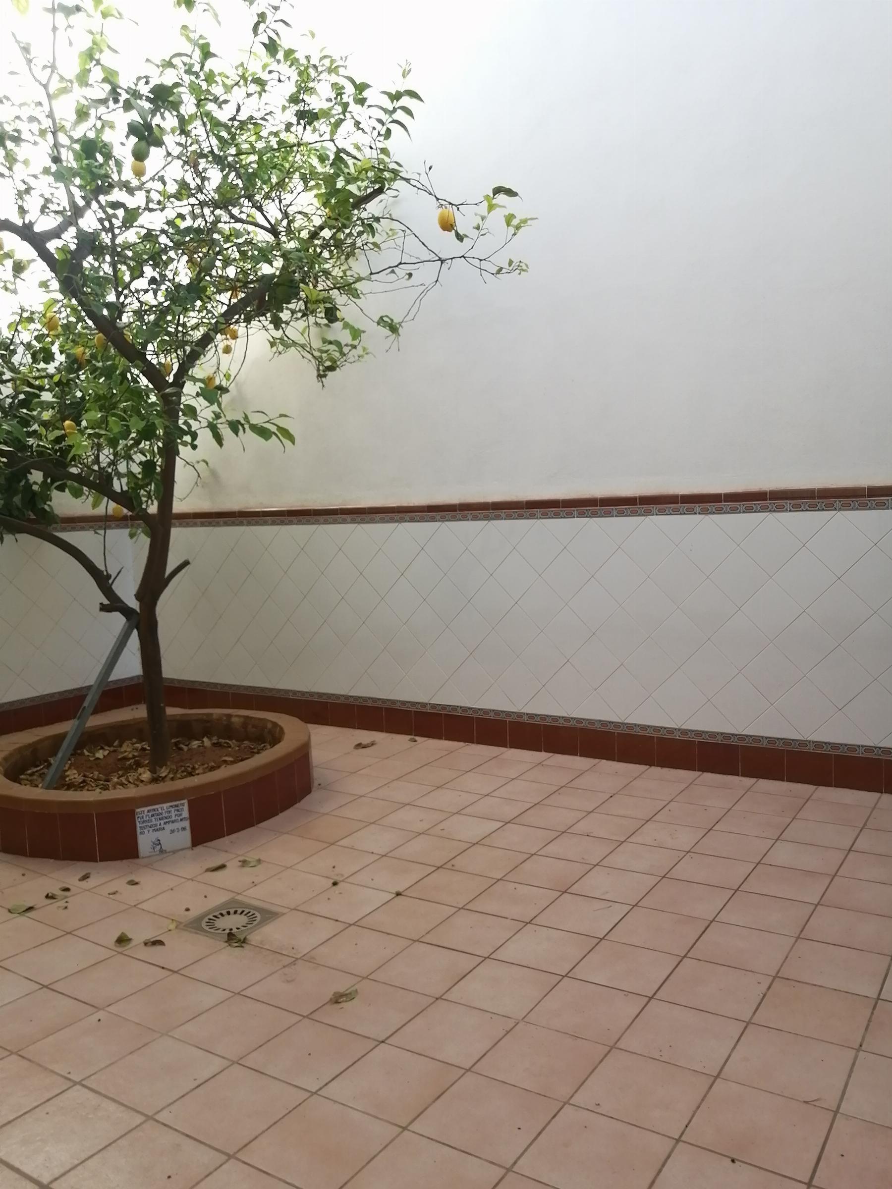 For sale of house in Cheste