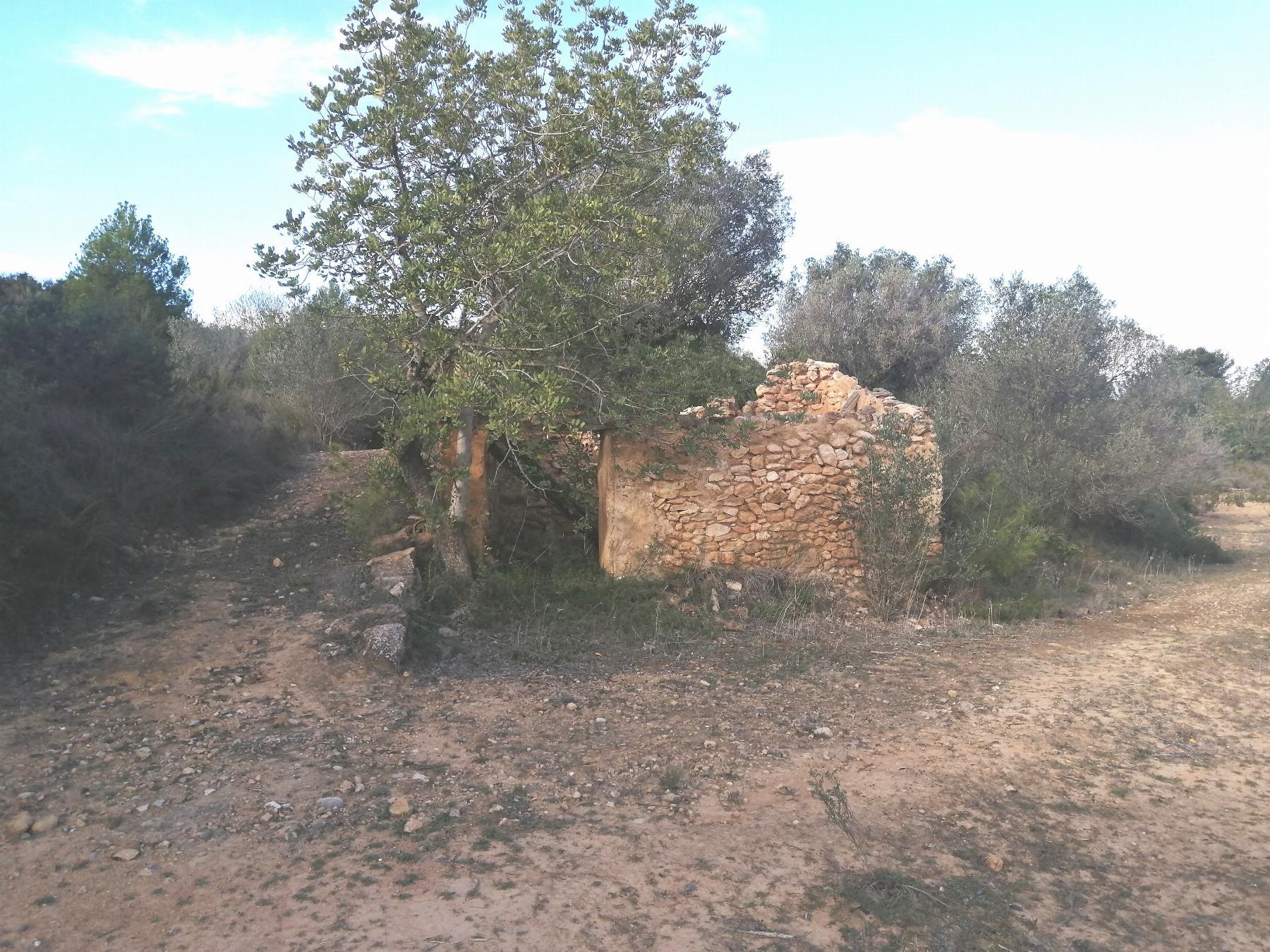 Venta de finca rústica en Cheste