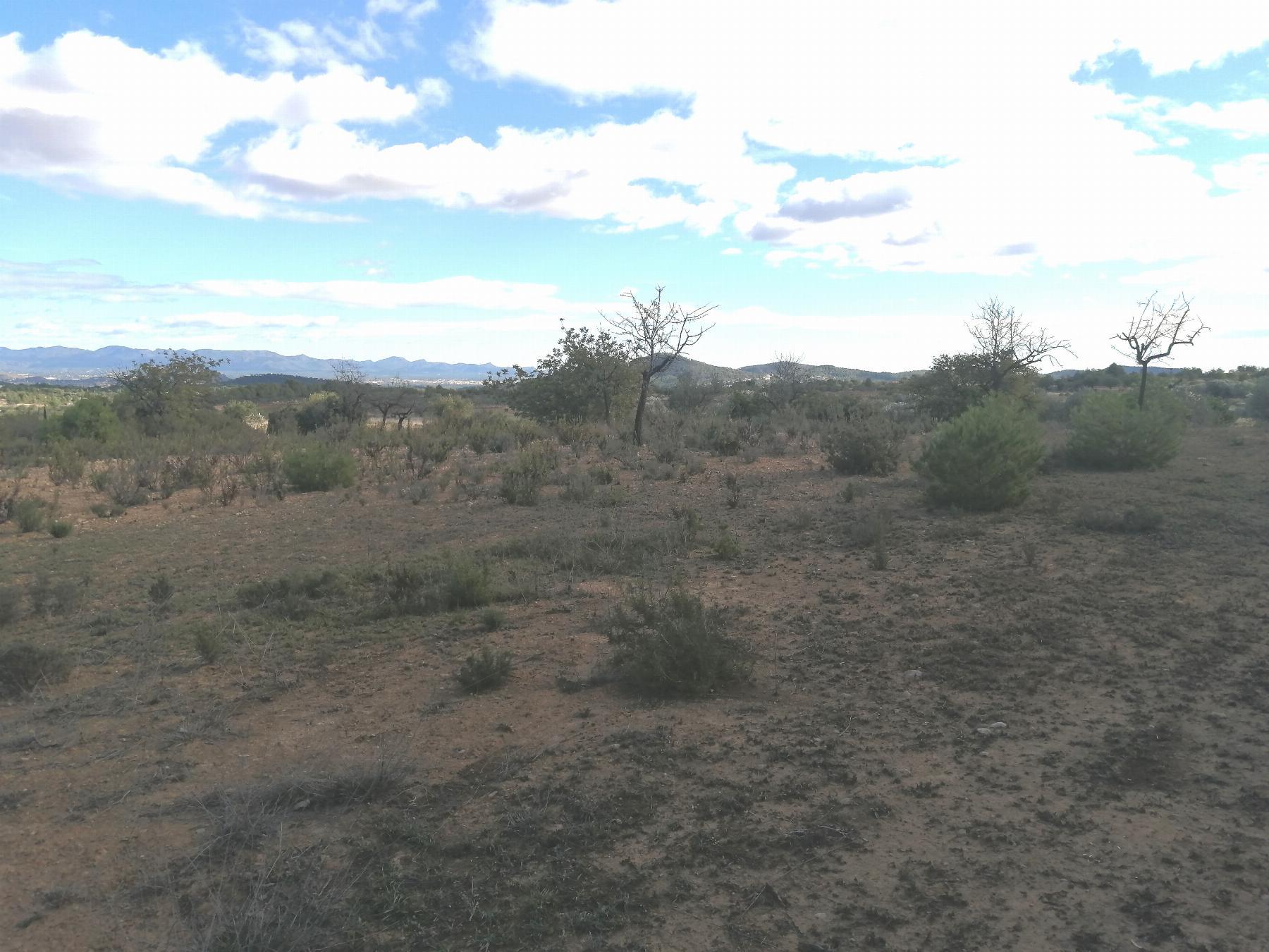 For sale of rural property in Cheste