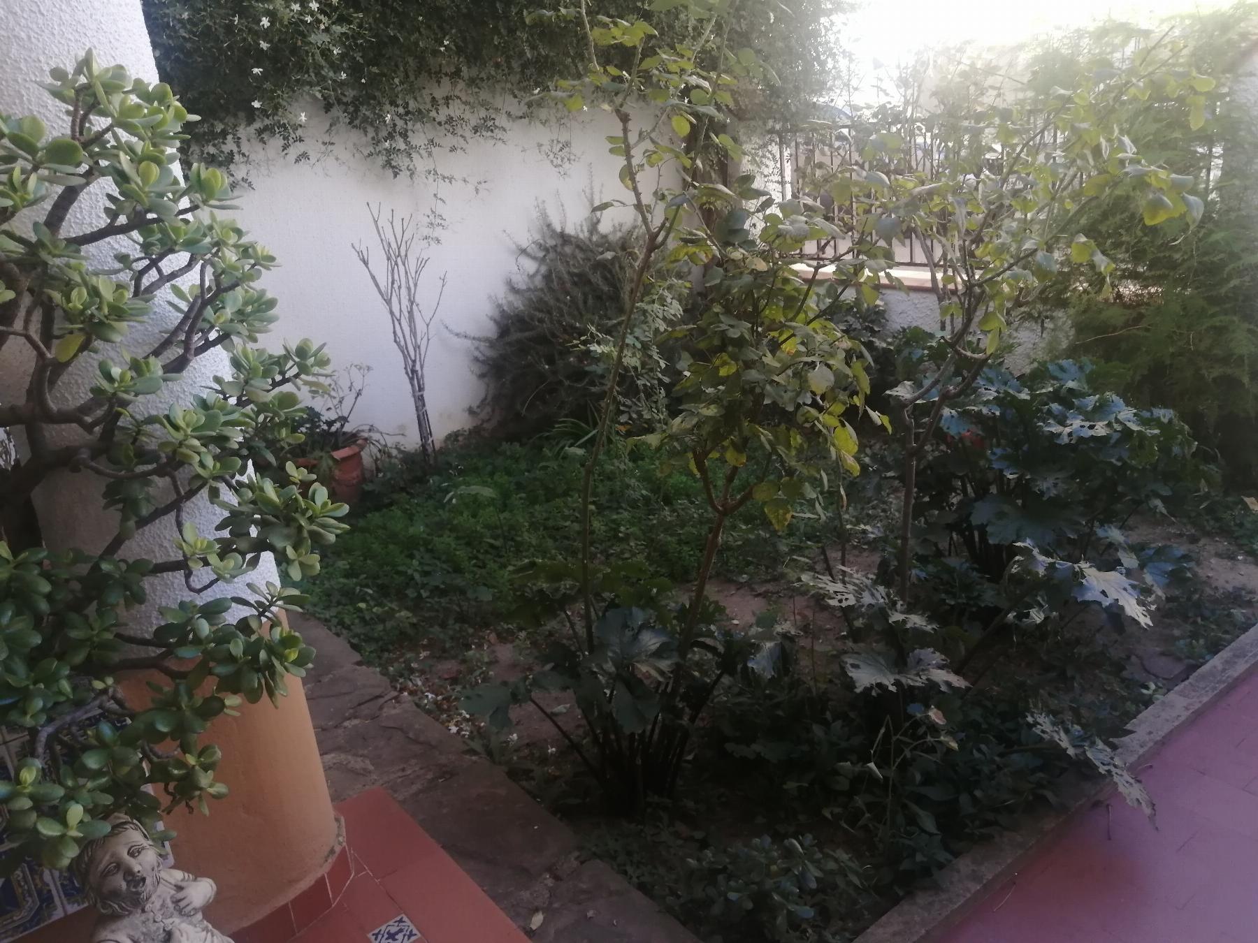 For sale of house in Cheste