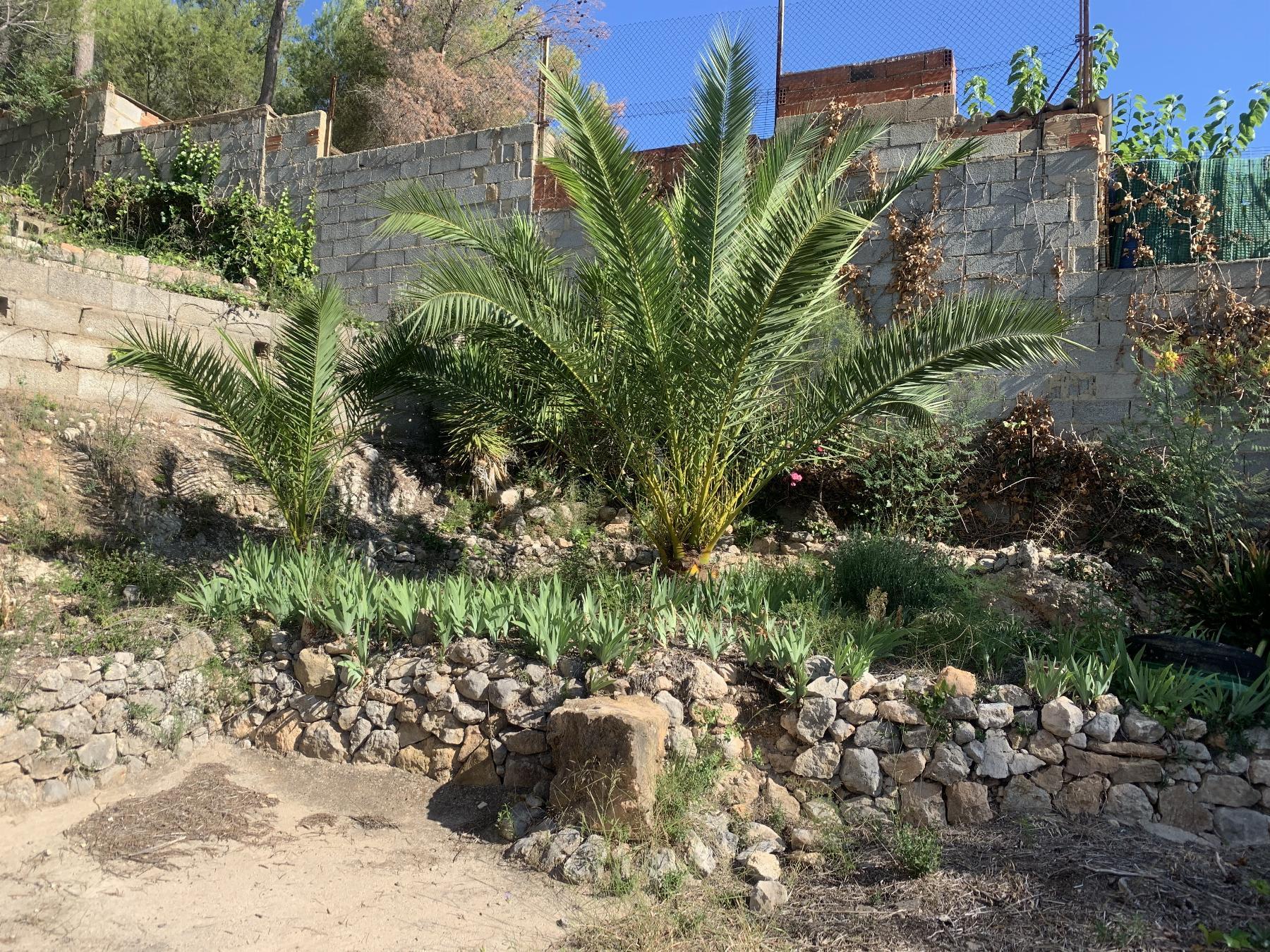 For sale of chalet in Chiva