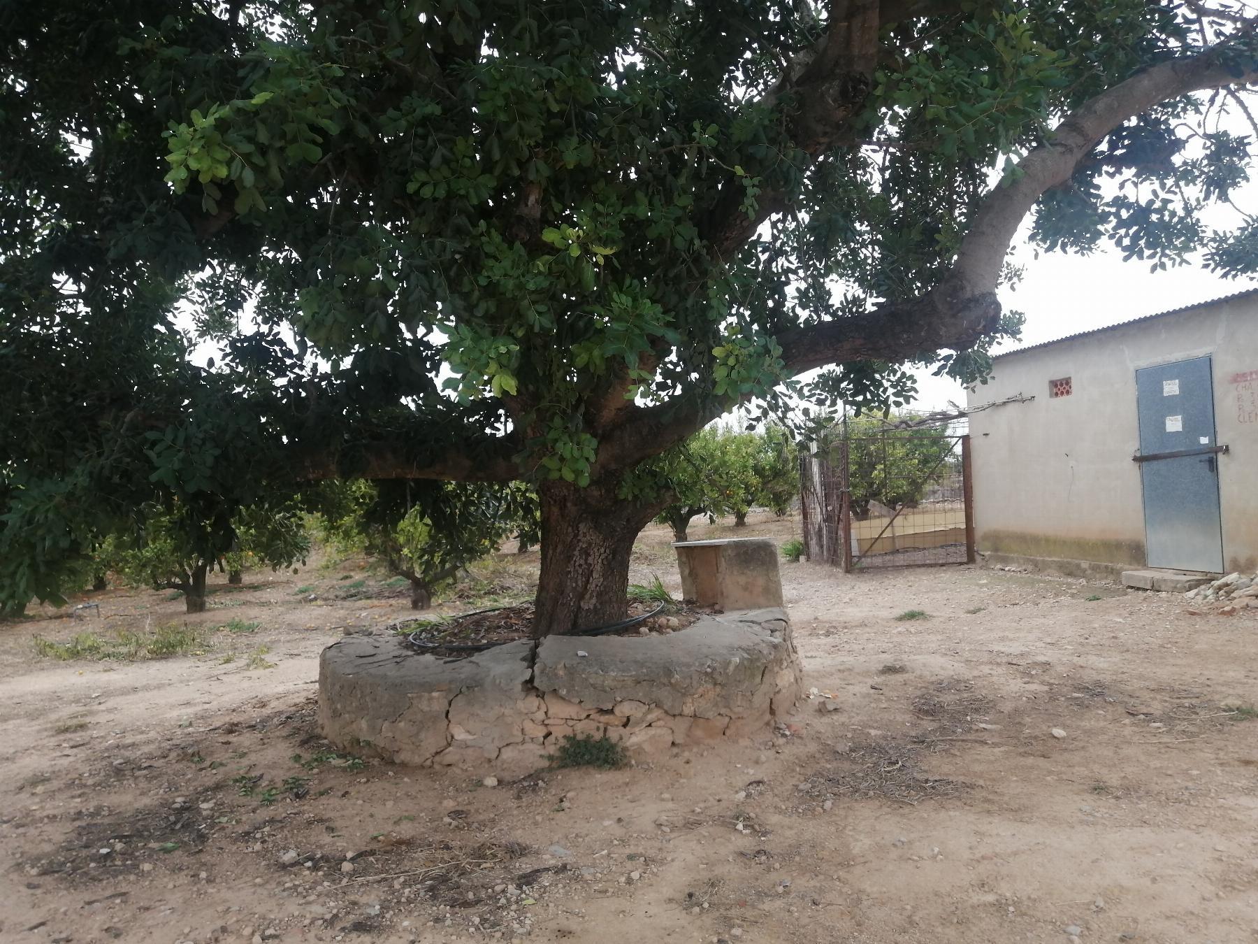 Venta de terreno en Cheste