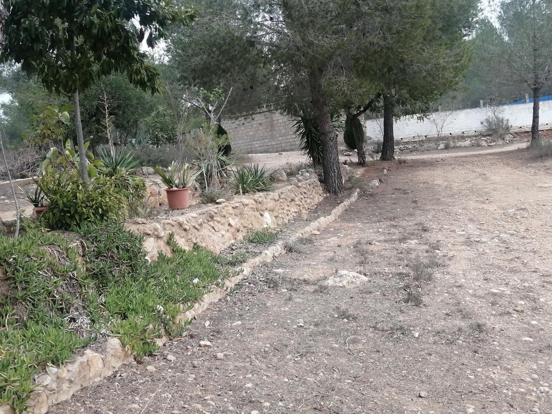 Venta de chalet en Cheste