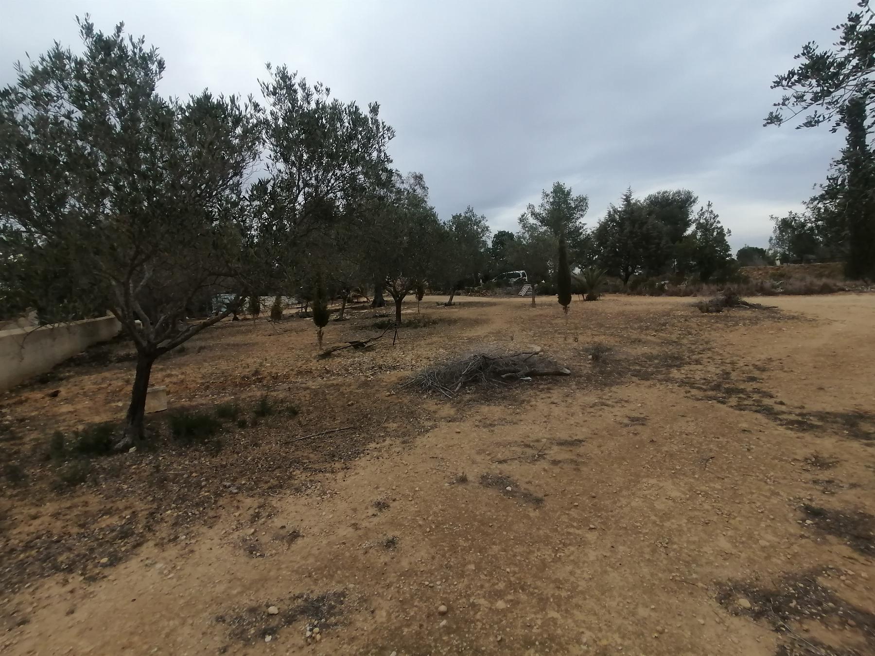 Venta de chalet en Cheste