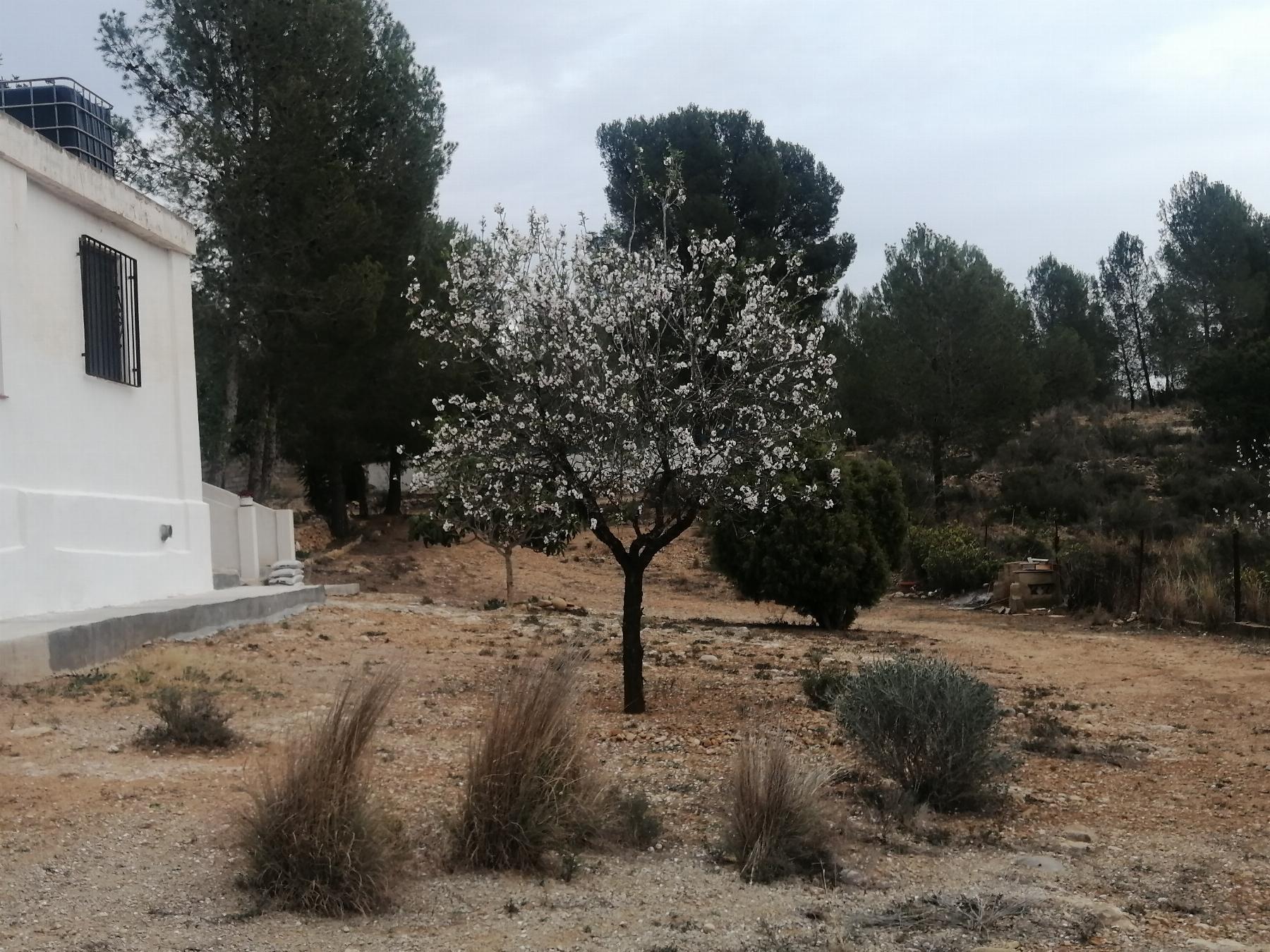 Venta de chalet en Cheste