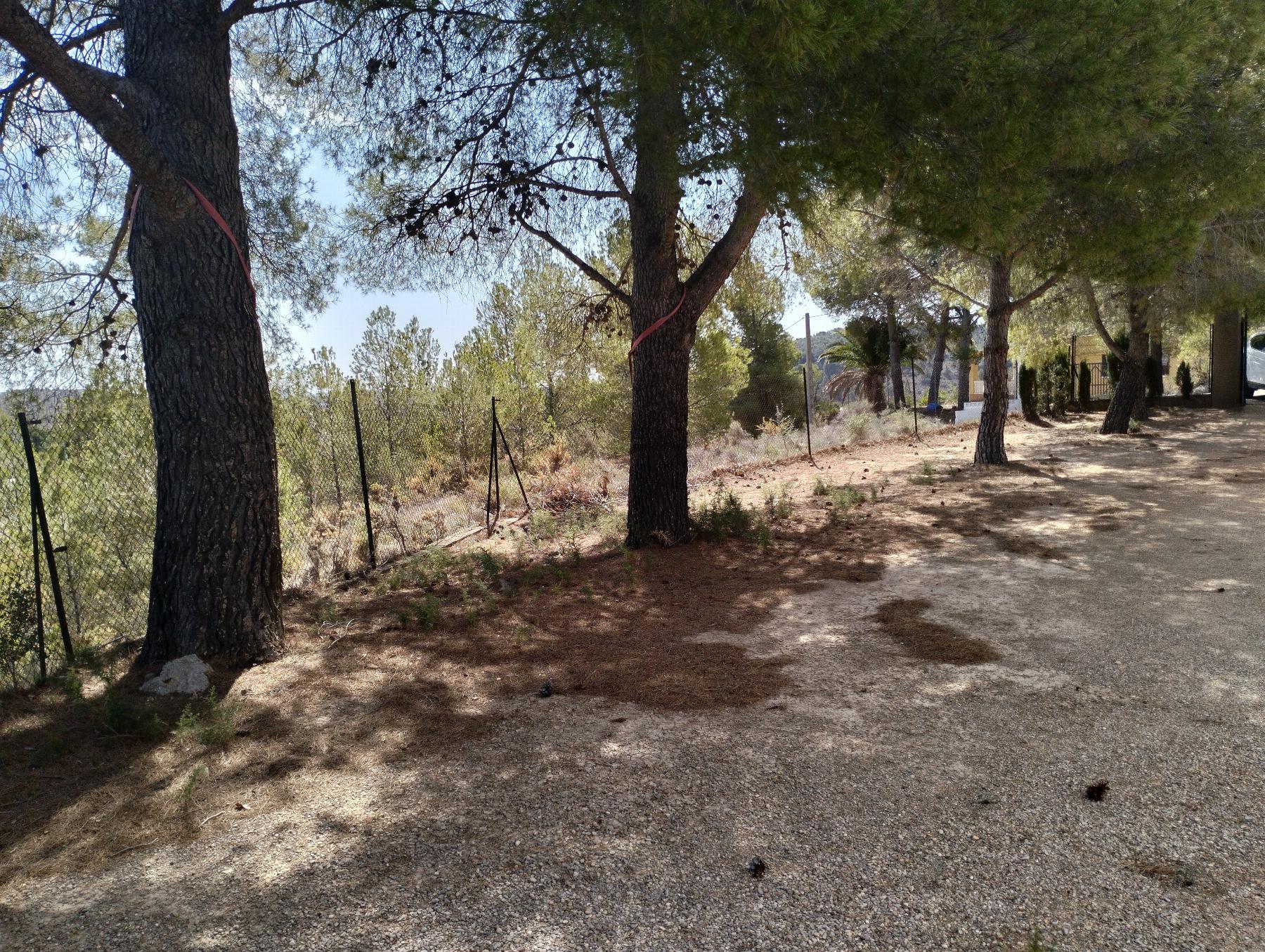 Venta de chalet en Chiva