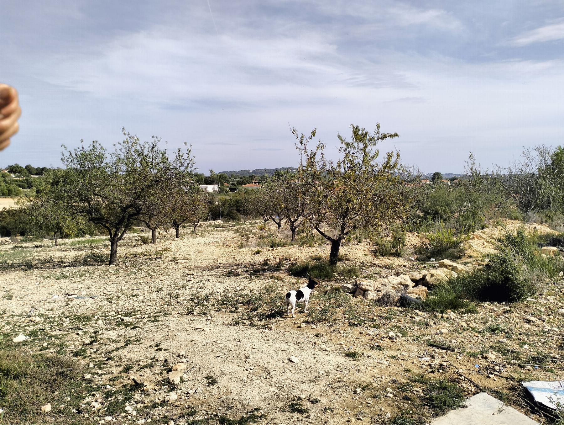 For sale of chalet in Cheste