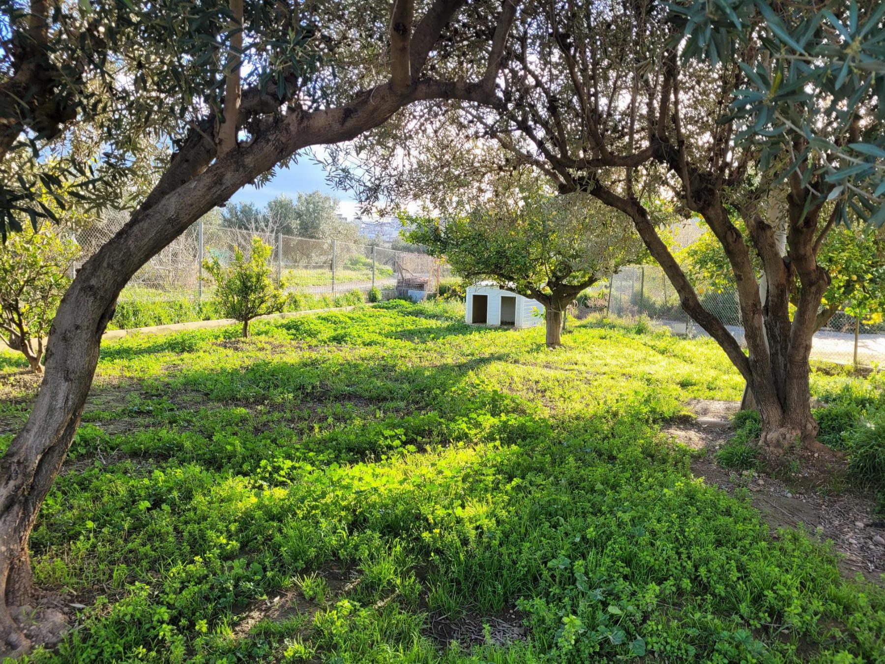 Venta de chalet en Chiva