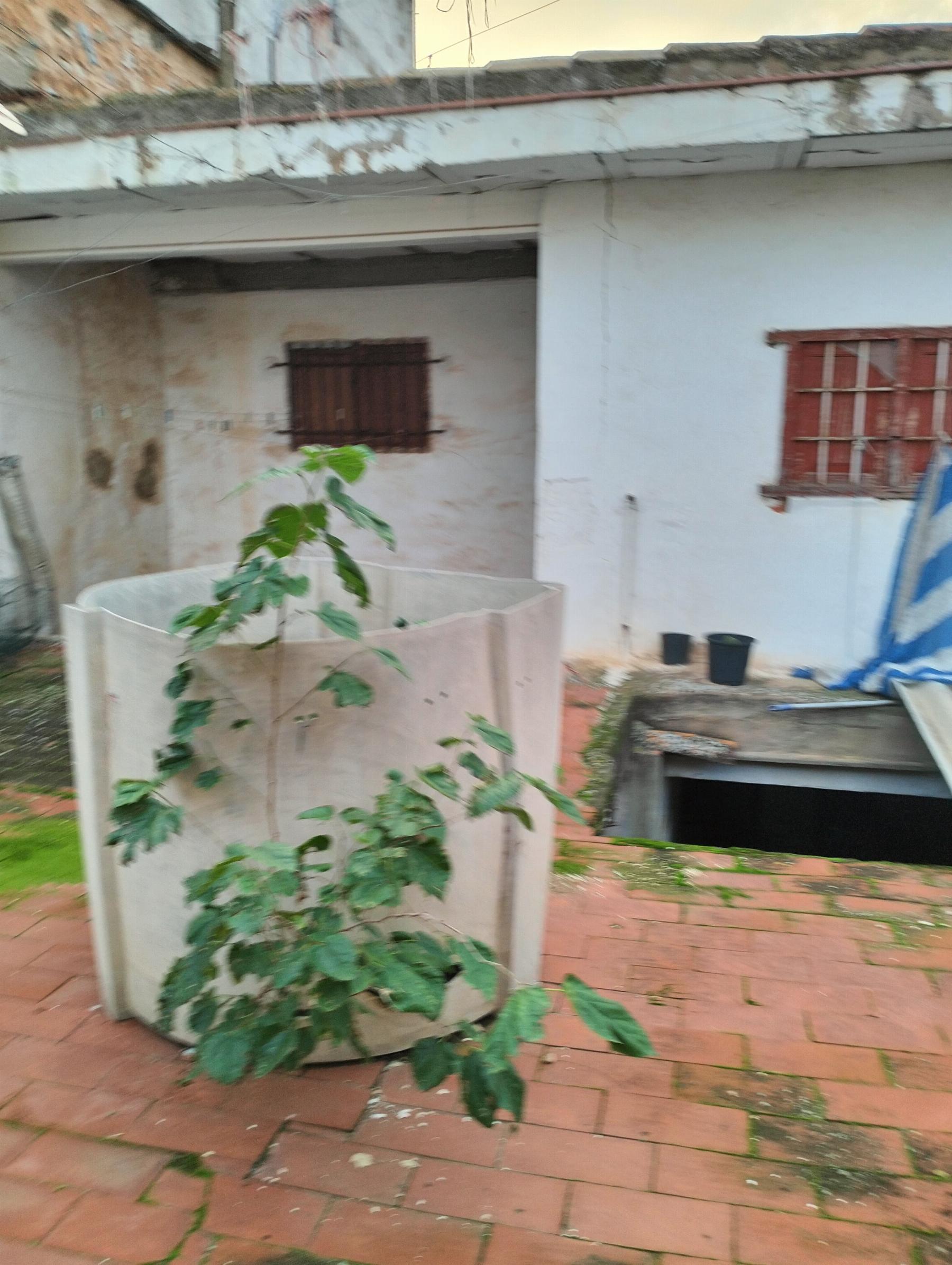 Venta de casa en Cheste