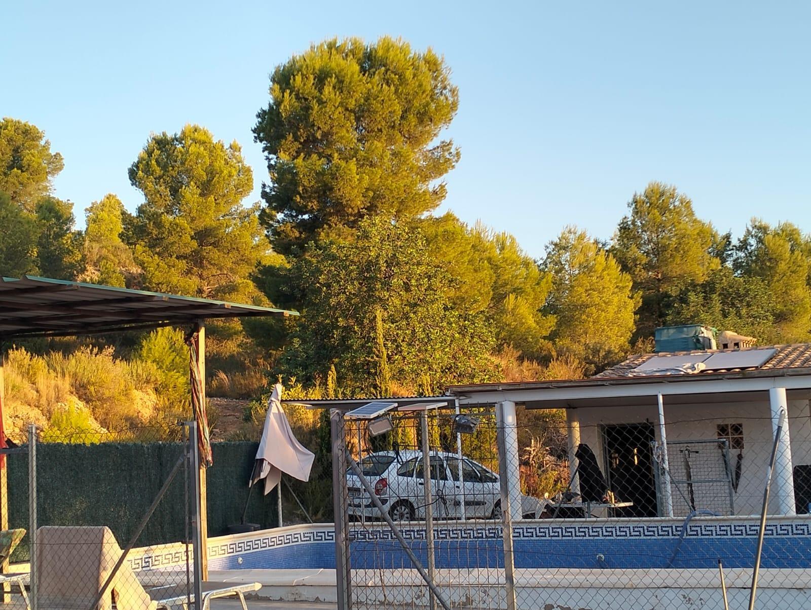 Venta de chalet en Cheste