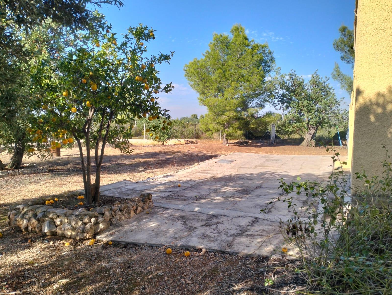 Venta de chalet en Cheste
