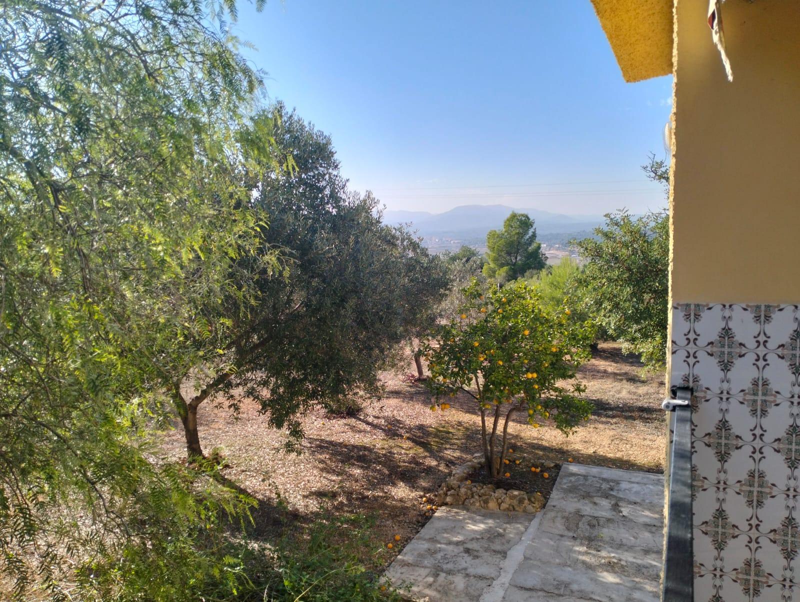 Venta de chalet en Cheste
