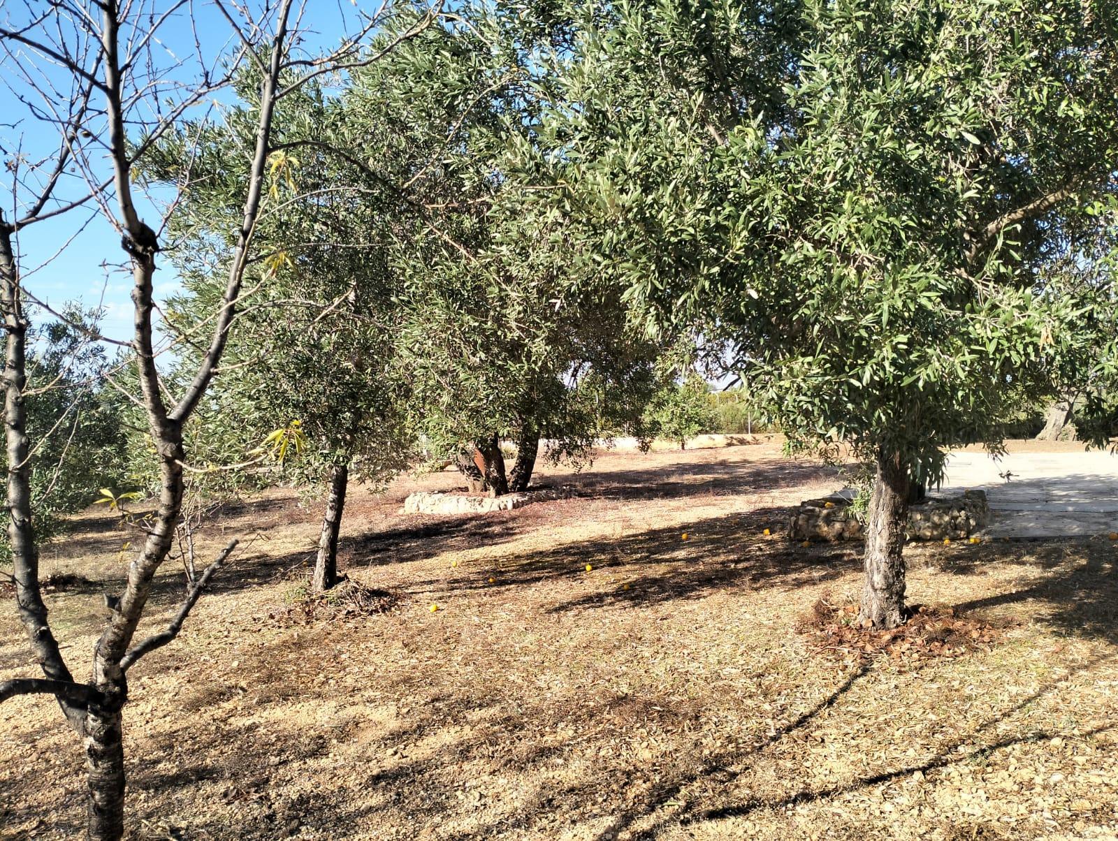 Venta de chalet en Cheste