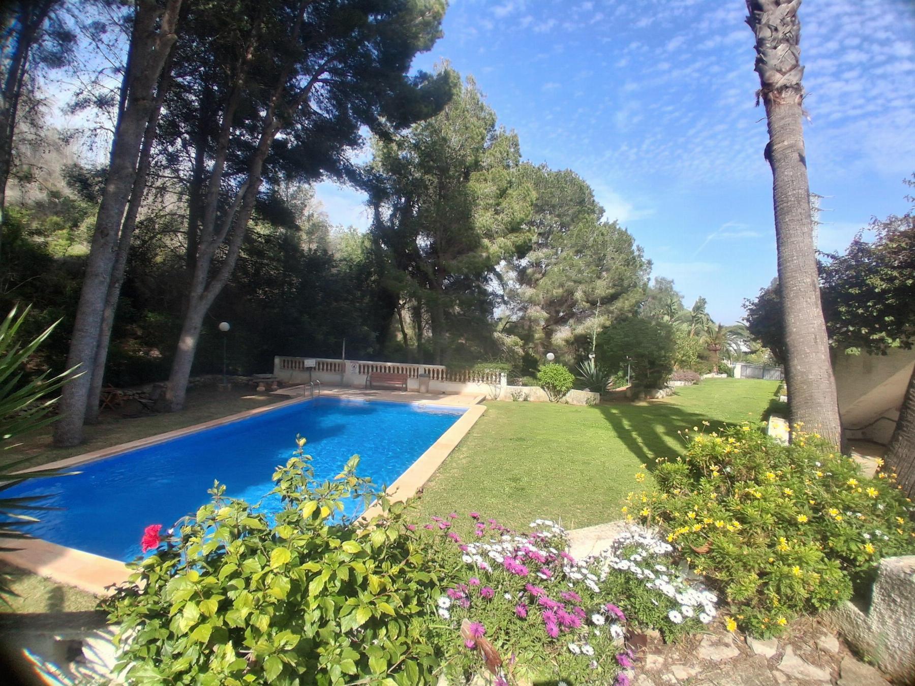 Alquiler de apartamento en Dénia