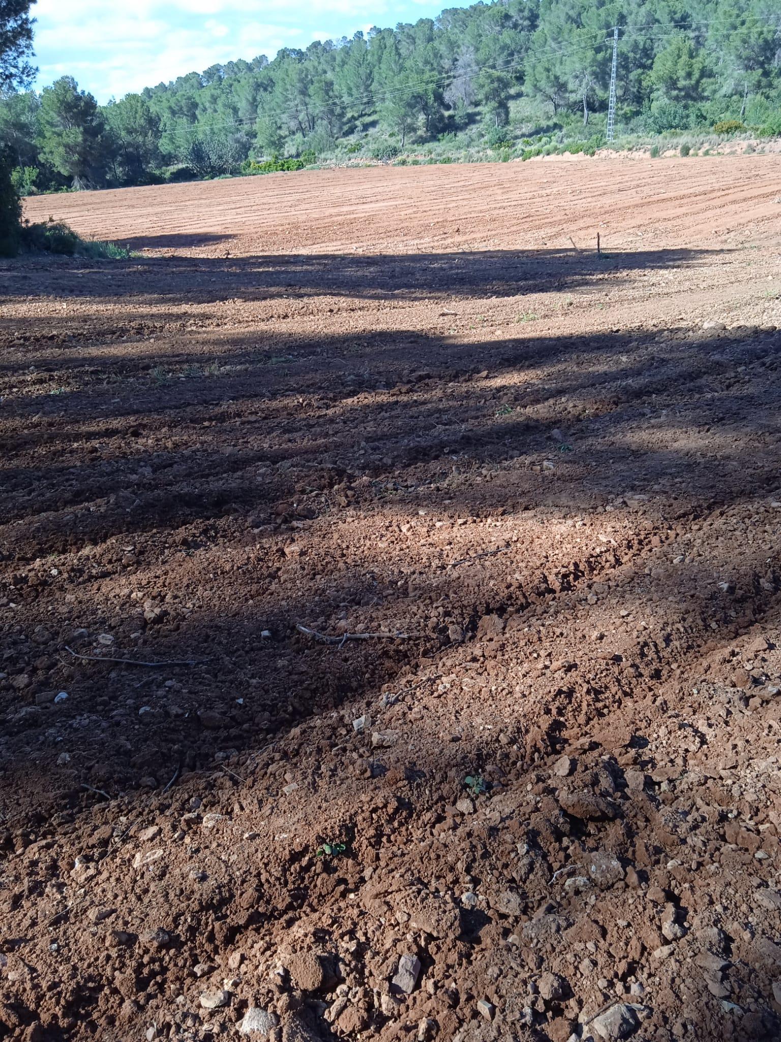 Venta de terreno en Villamarchante