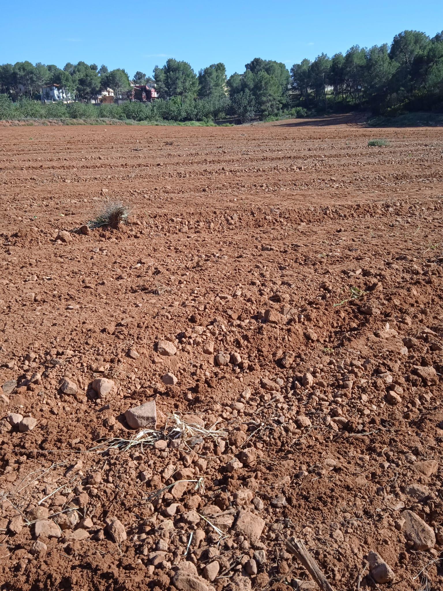 Venta de terreno en Villamarchante