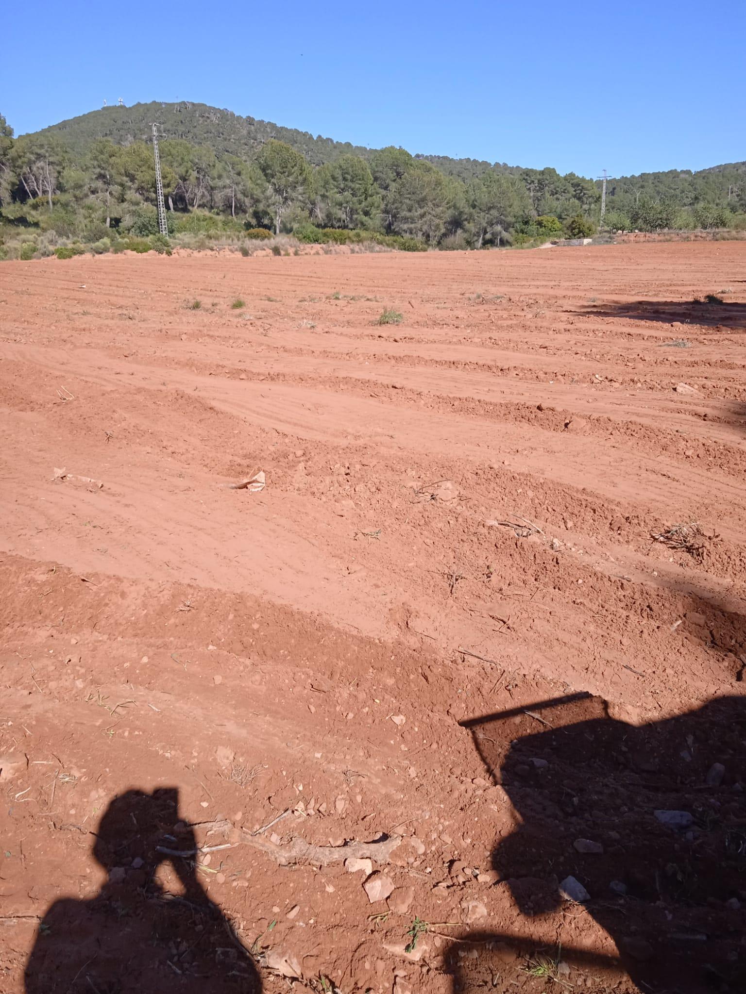 Venta de terreno en Villamarchante