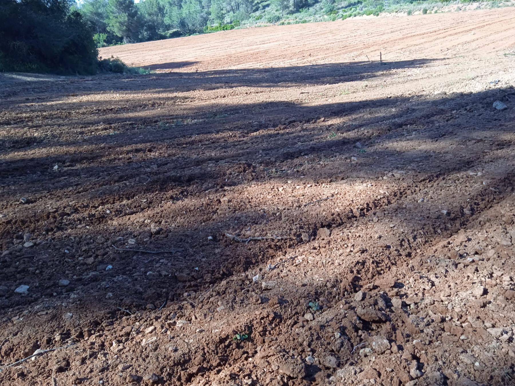Venta de terreno en Villamarchante