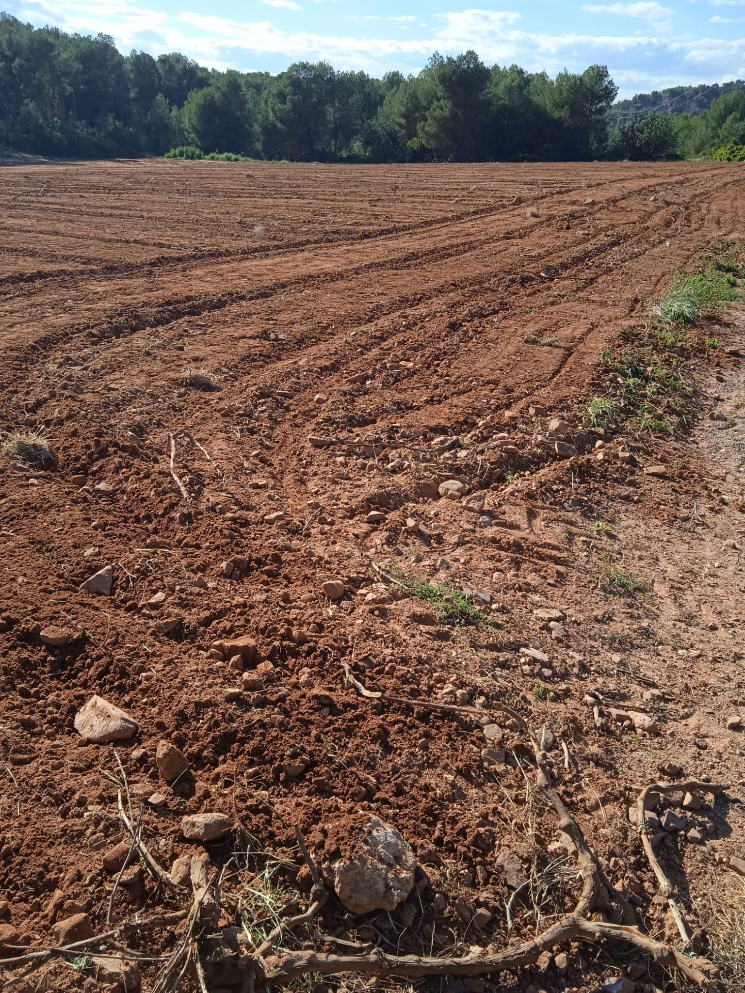 Venta de terreno en Villamarchante
