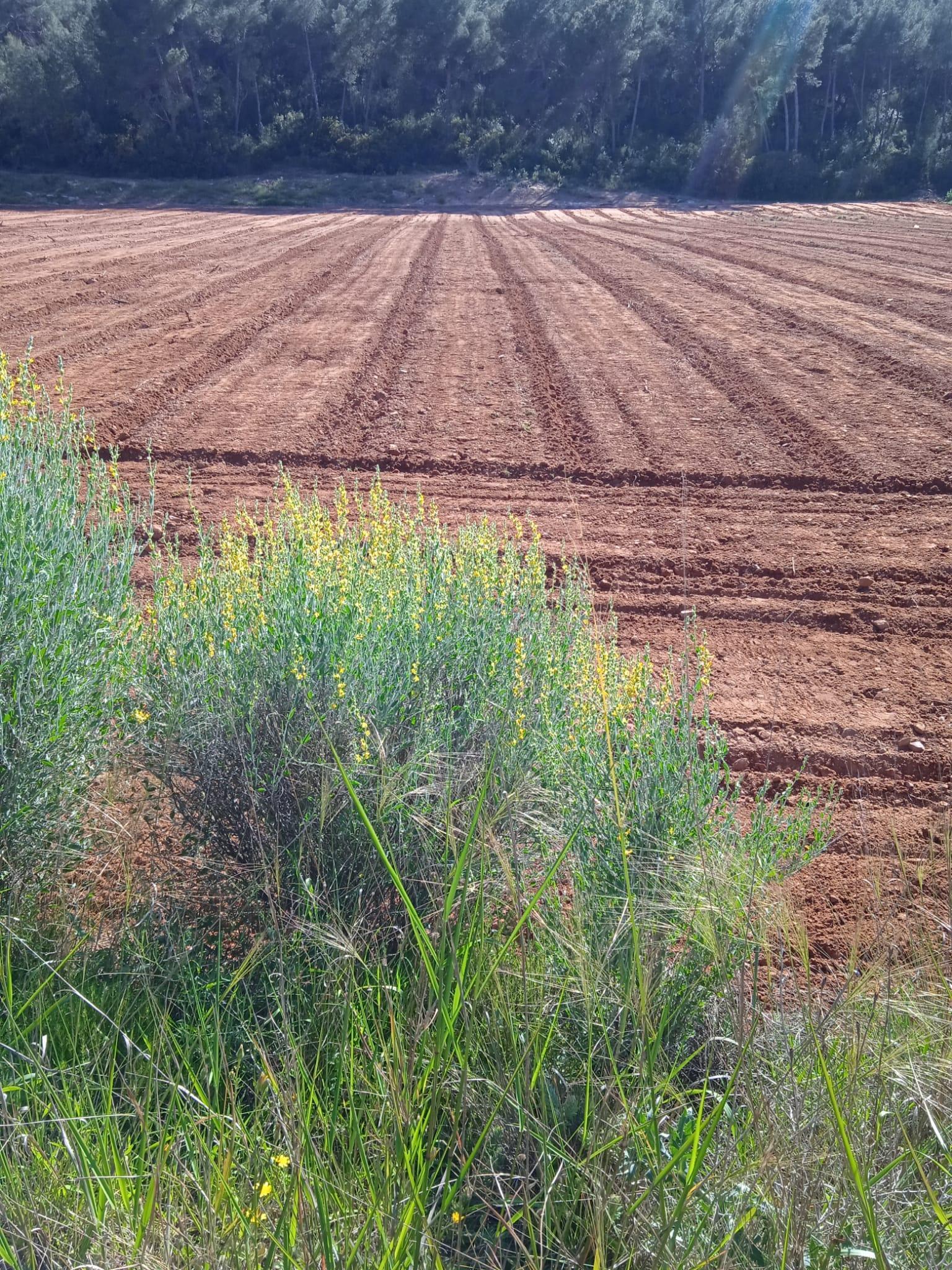 Venta de terreno en Villamarchante