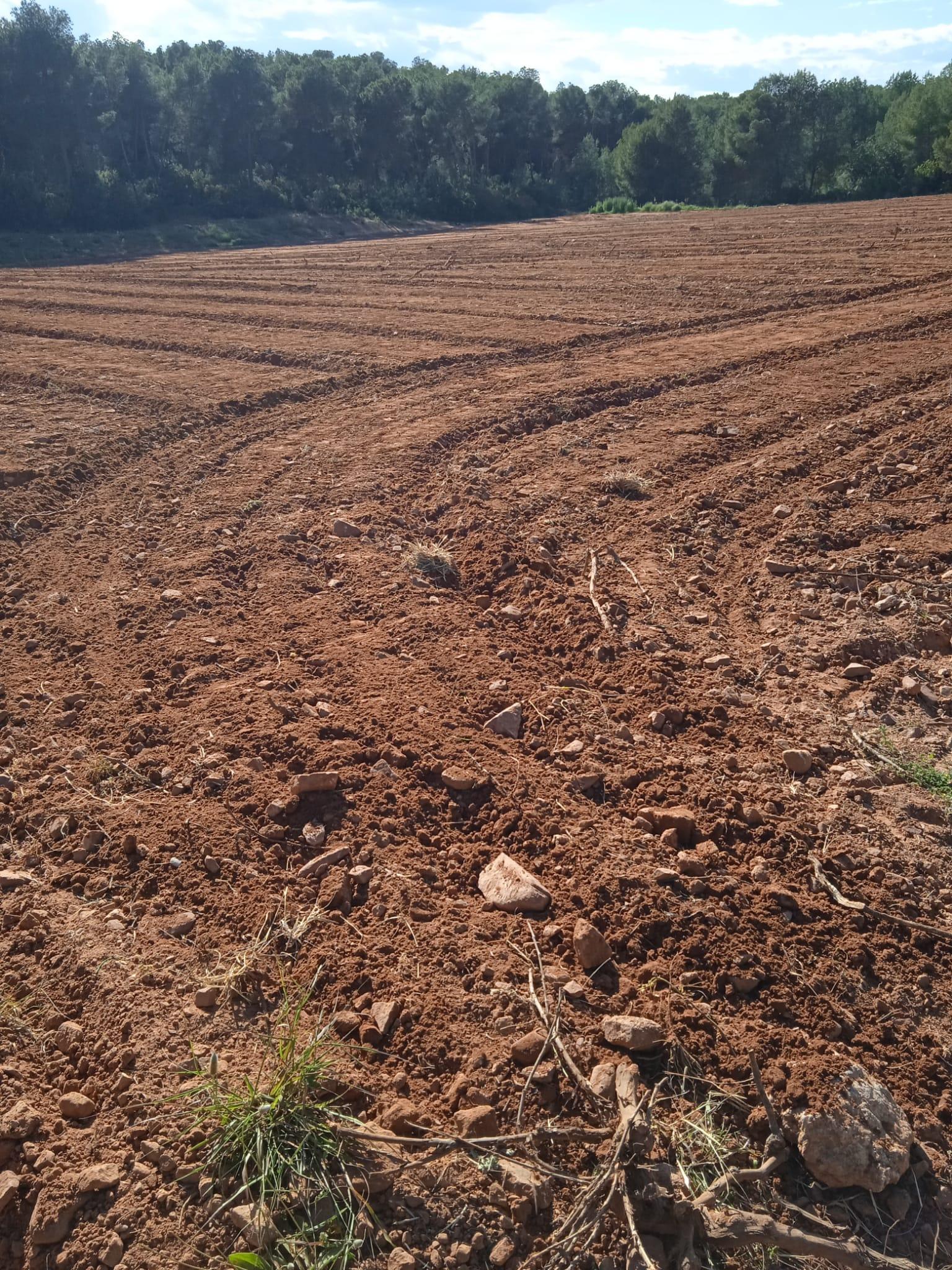 Venta de terreno en Villamarchante