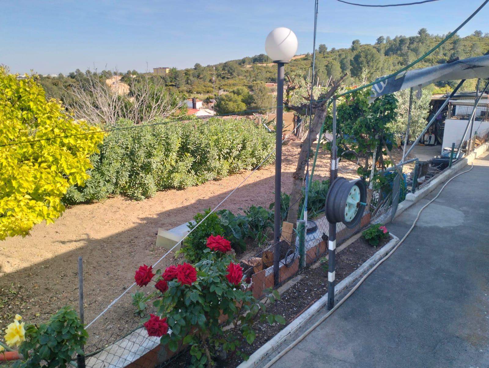 Venta de chalet en Cheste