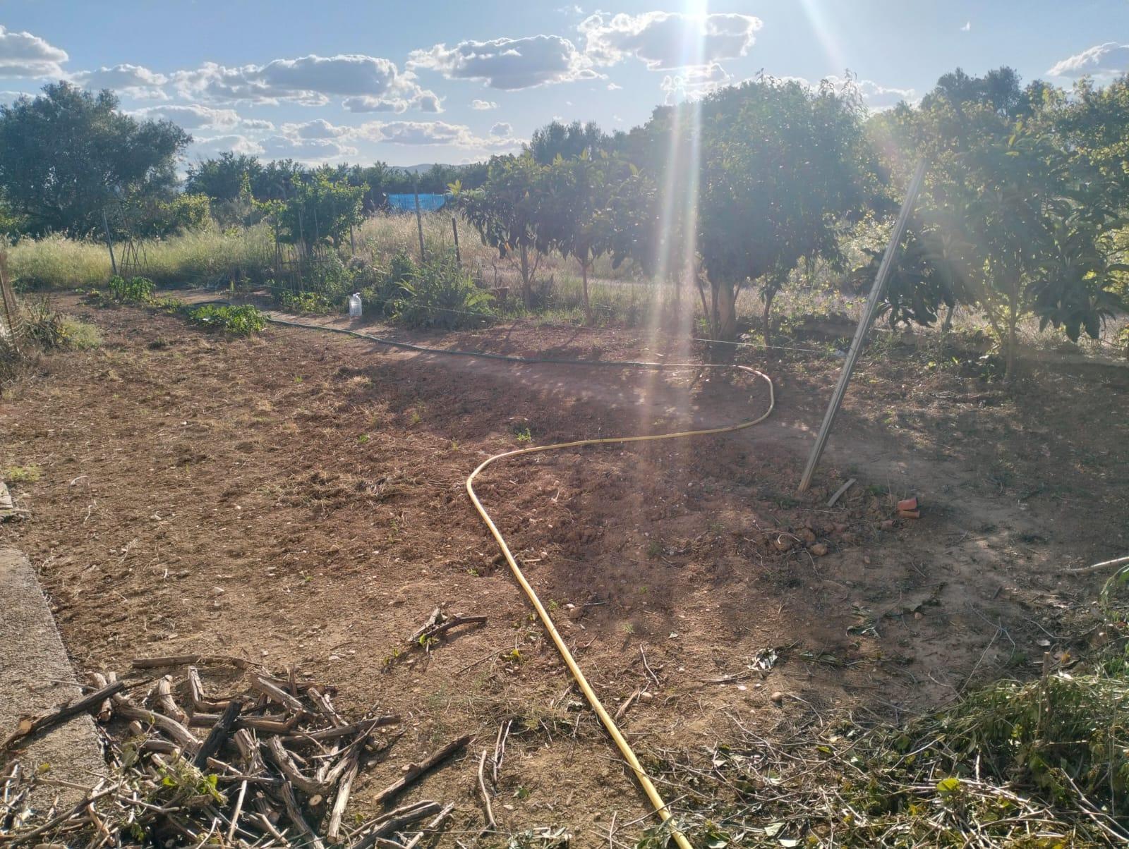 Venta de chalet en Cheste