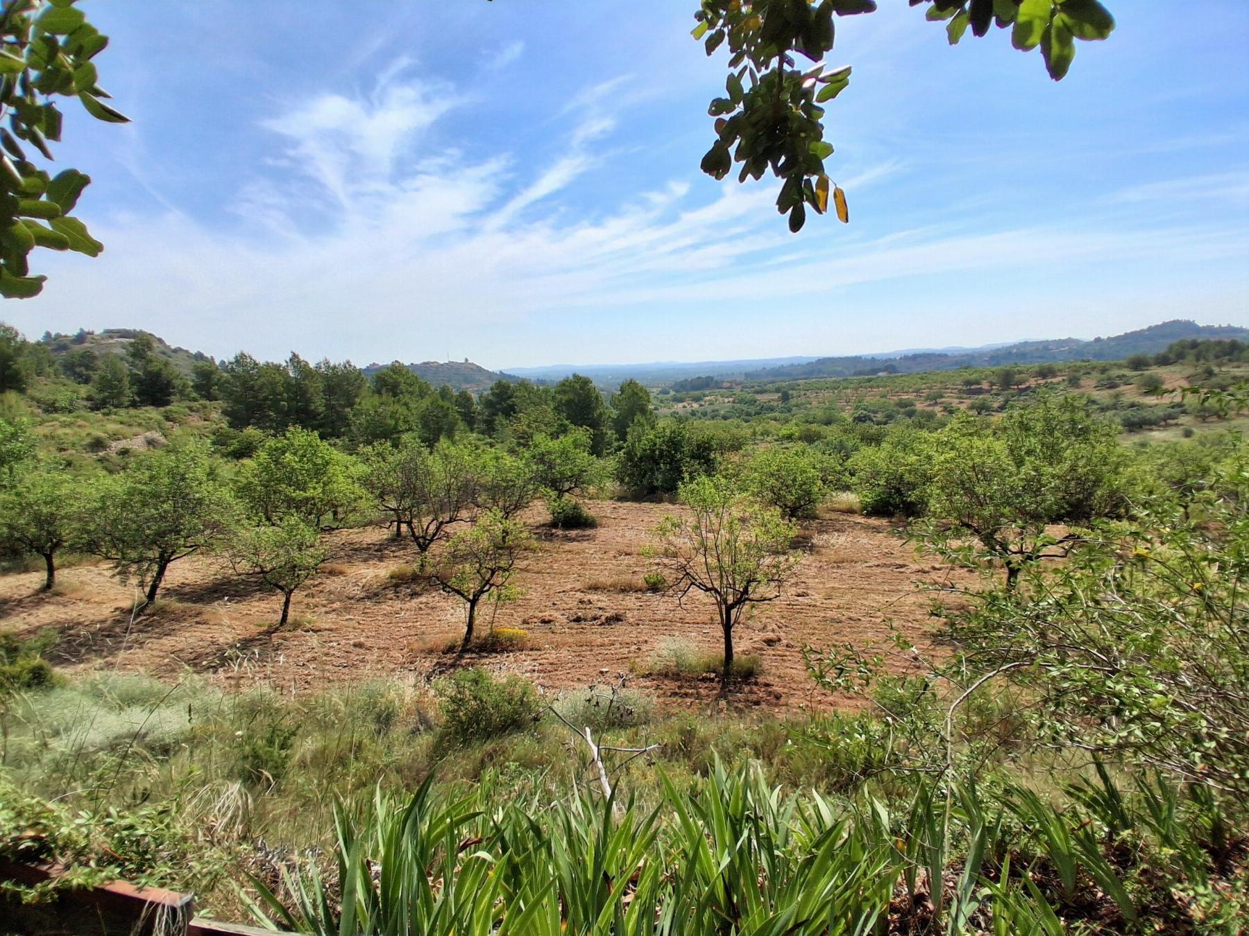 Venta de chalet en Cheste