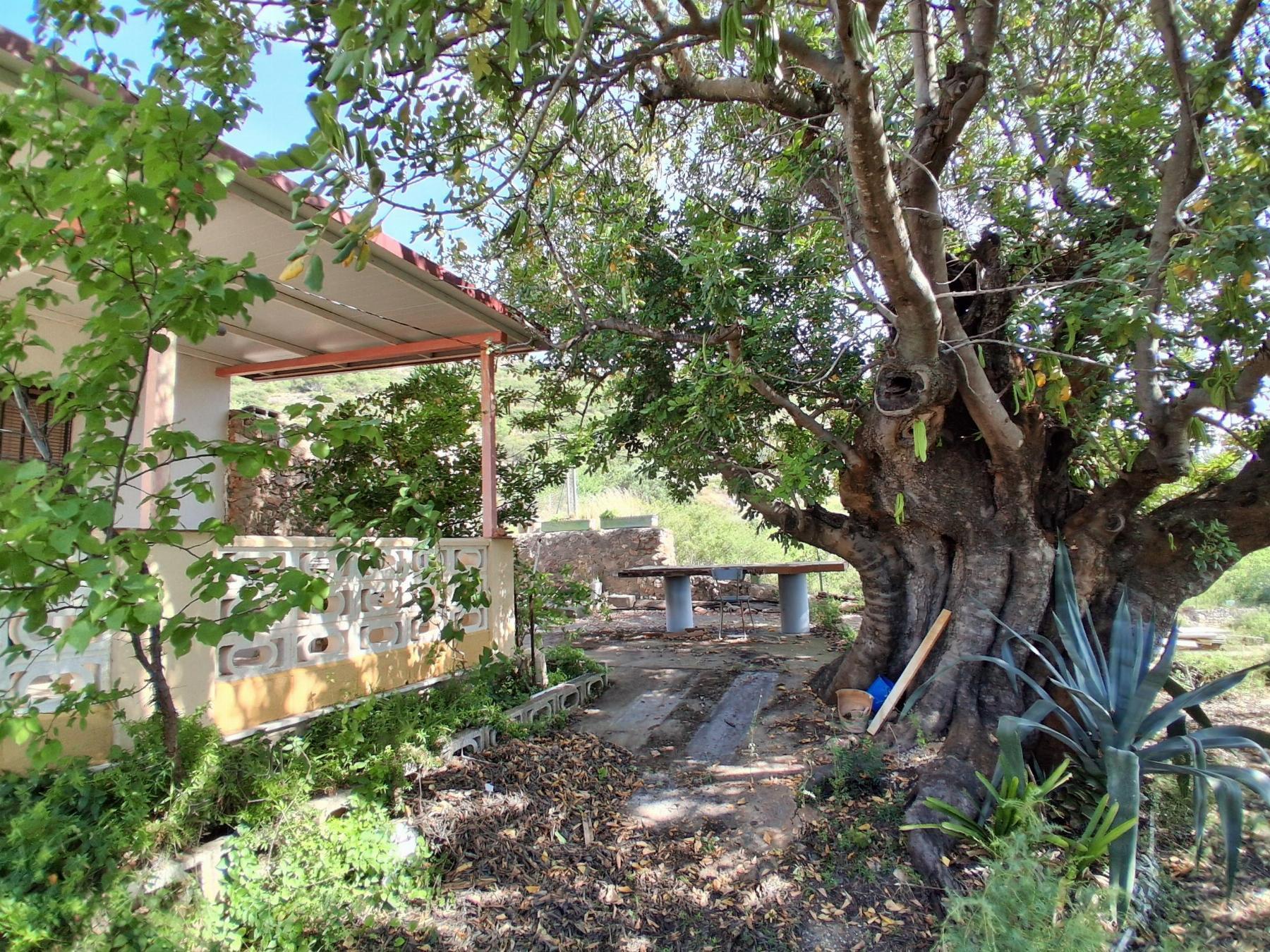 Venta de chalet en Cheste