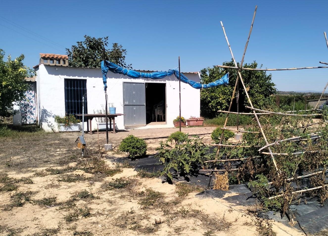 Venta de finca rústica en Cheste